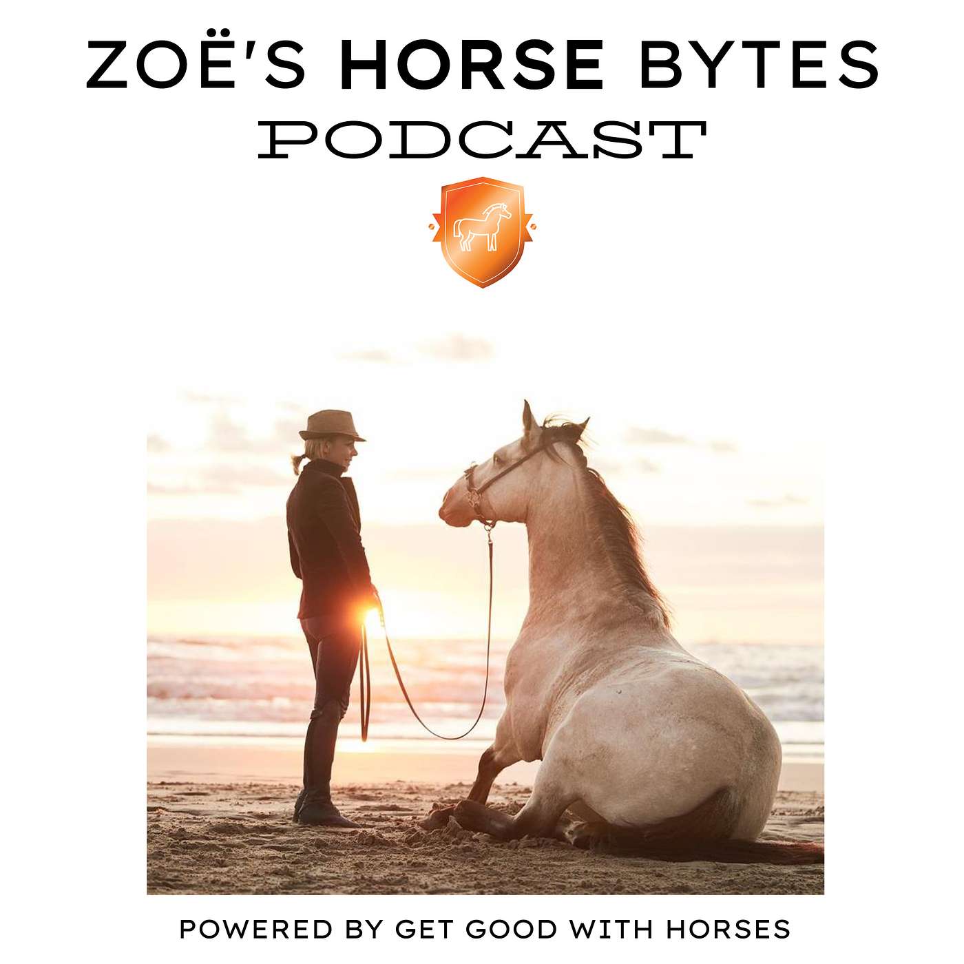 26. Teaching v's just telling episode artwork