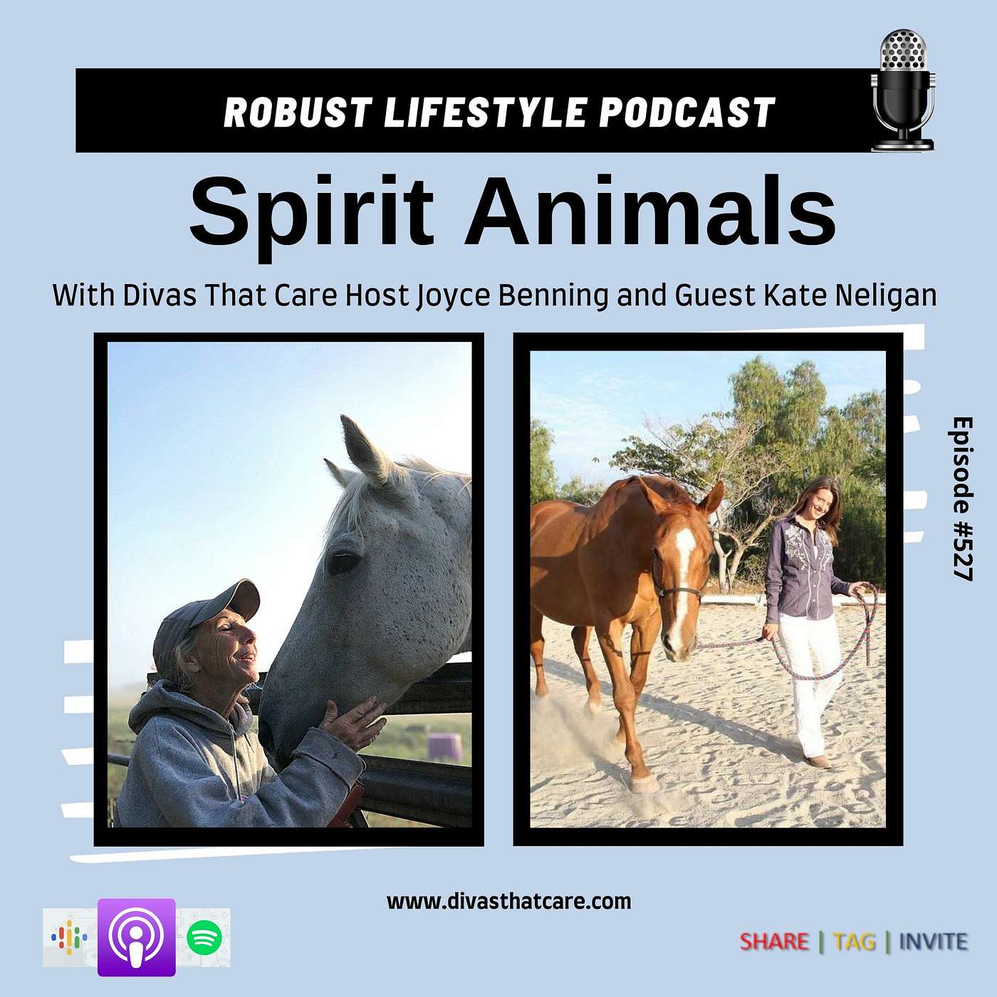 Spirit Animals episode artwork