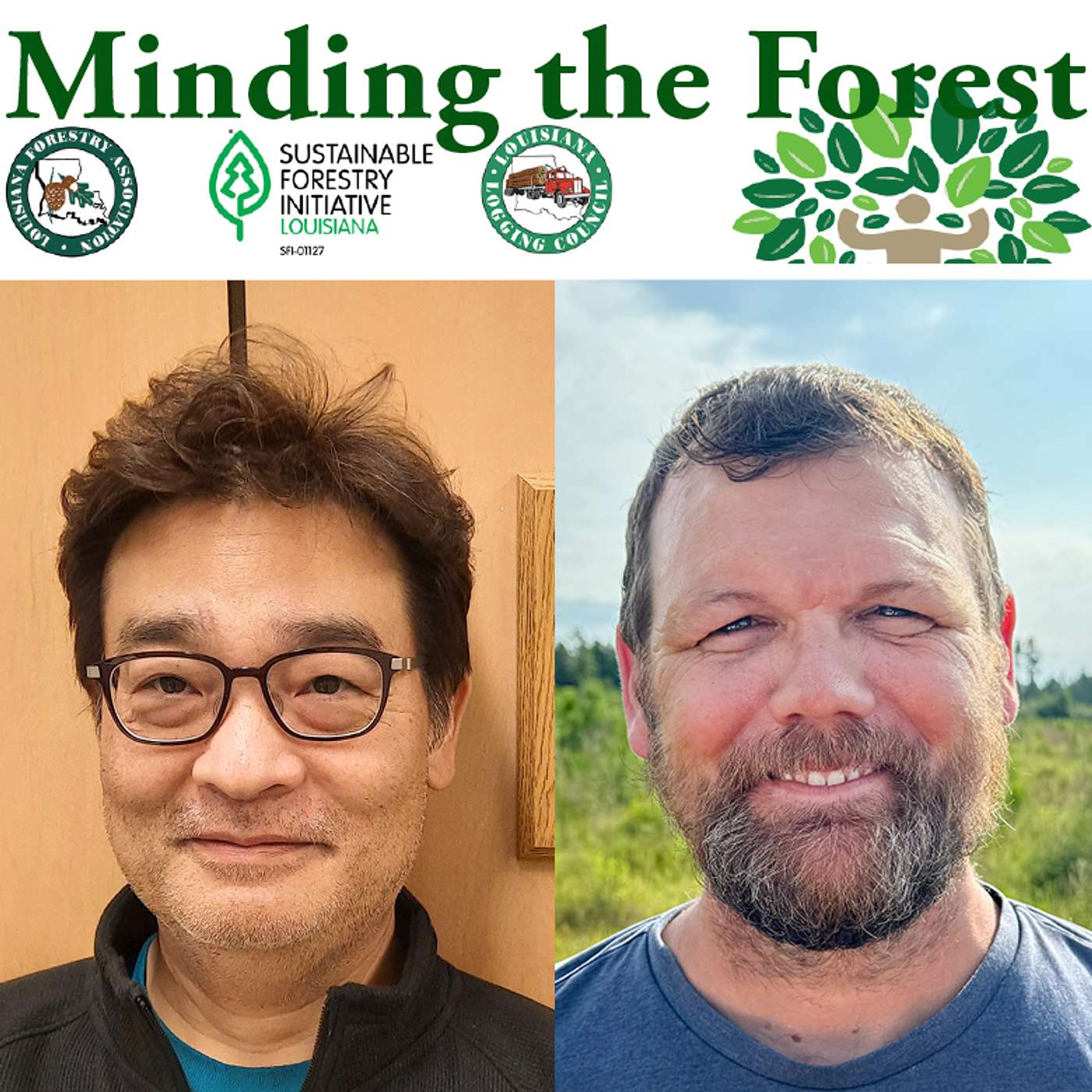 Minding the Forest