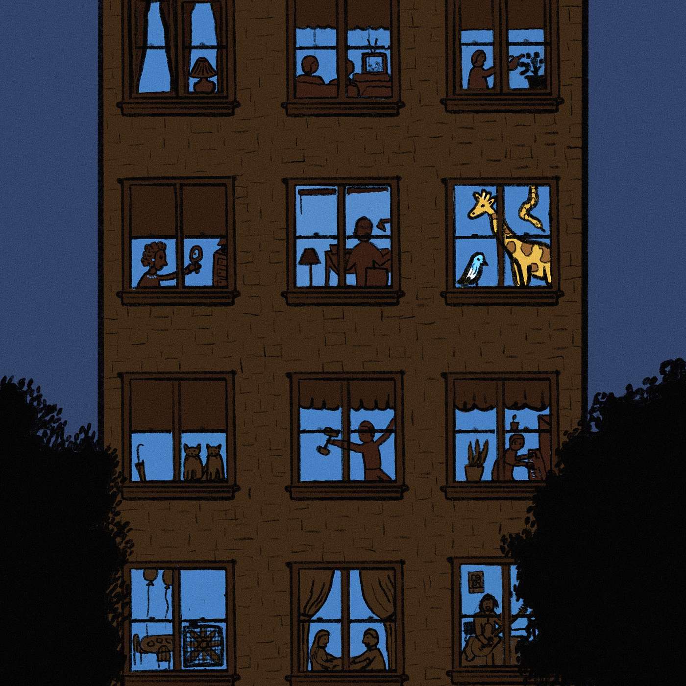 The Zoo in Apartment 62