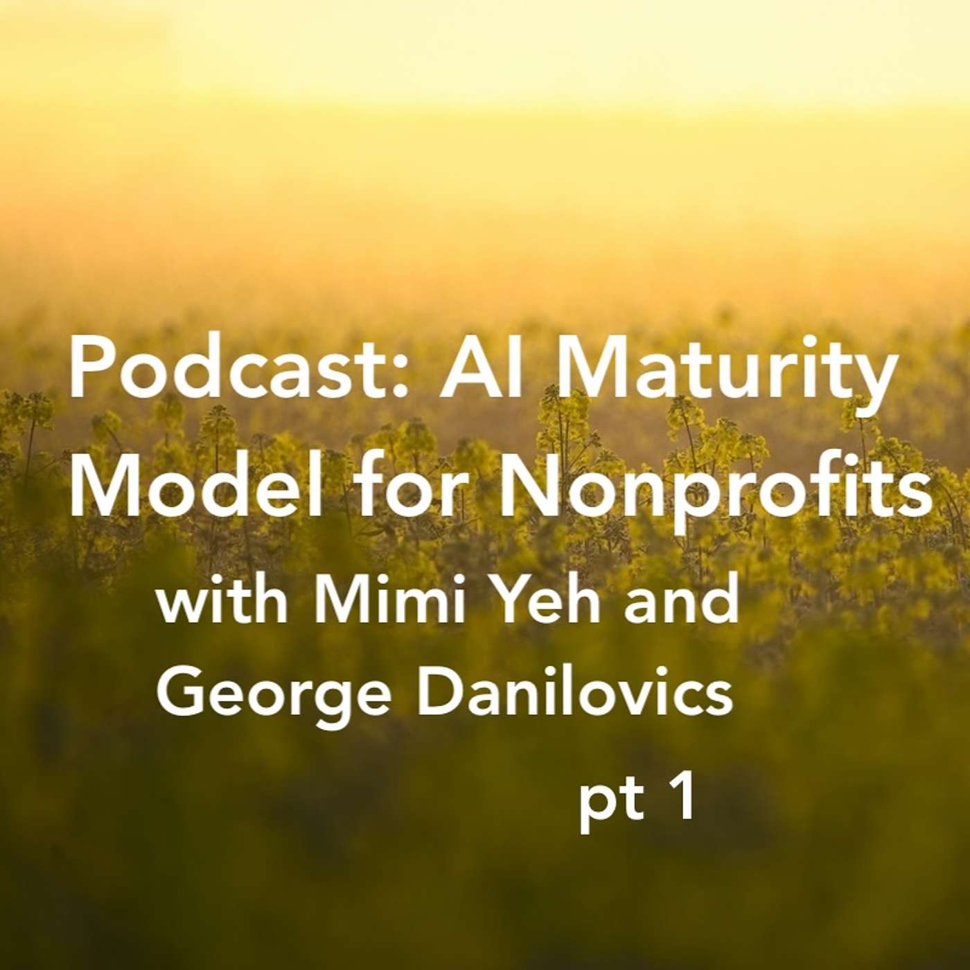 AI Maturity Model for Nonprofits pt 1 episode artwork