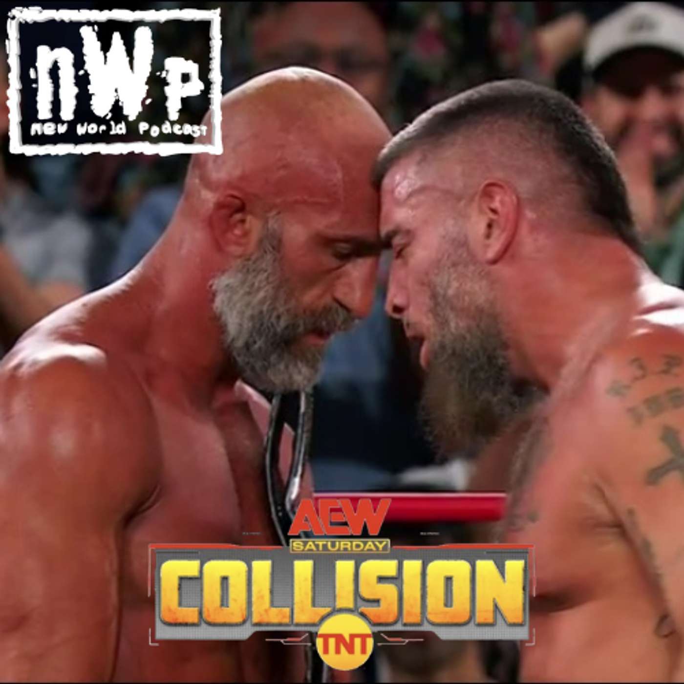 nWp: Collision (1/31/2026)