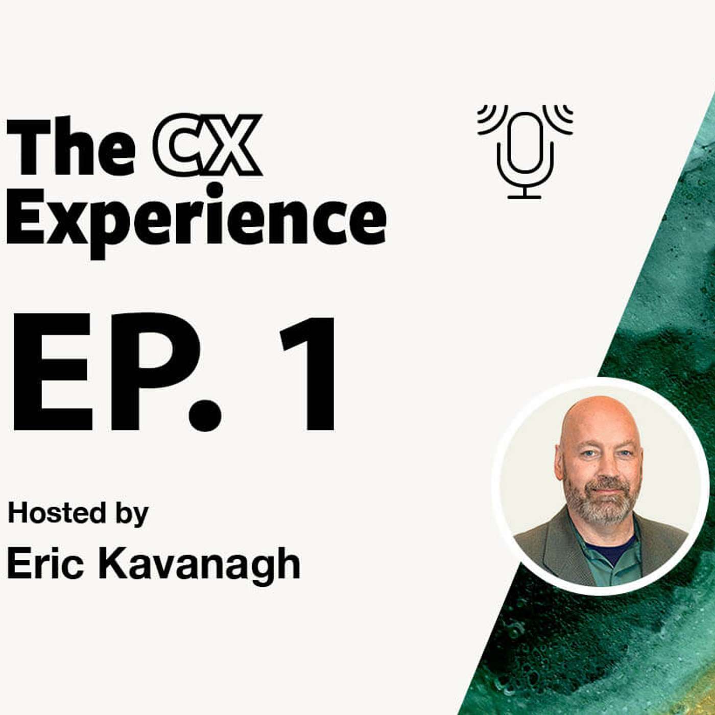 The CX Experience Episode 1, Part 1: Be Reasonable: Realistic Expectations for Artificial Intelligence episode artwork