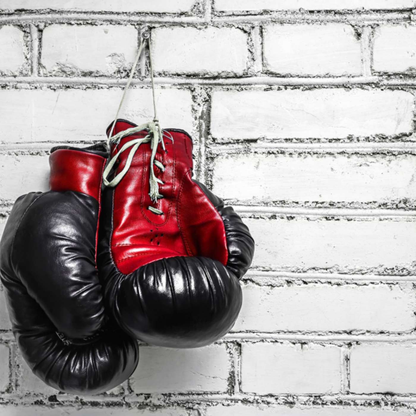 Episode 479 - Disagreements: Rules of Engagement