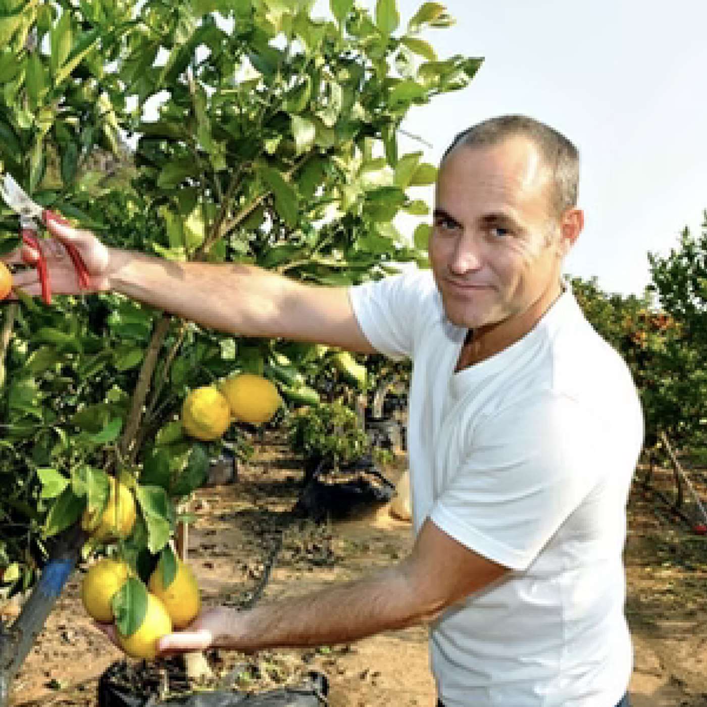 גלעד מניב פירות