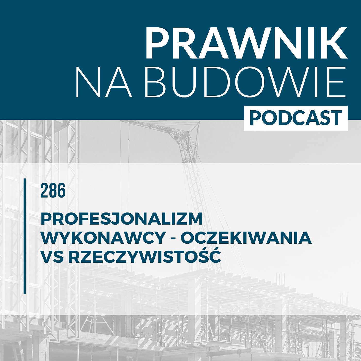Profesjonalizm wykonawcy - oczekiwania vs rzeczywistość #286 episode artwork