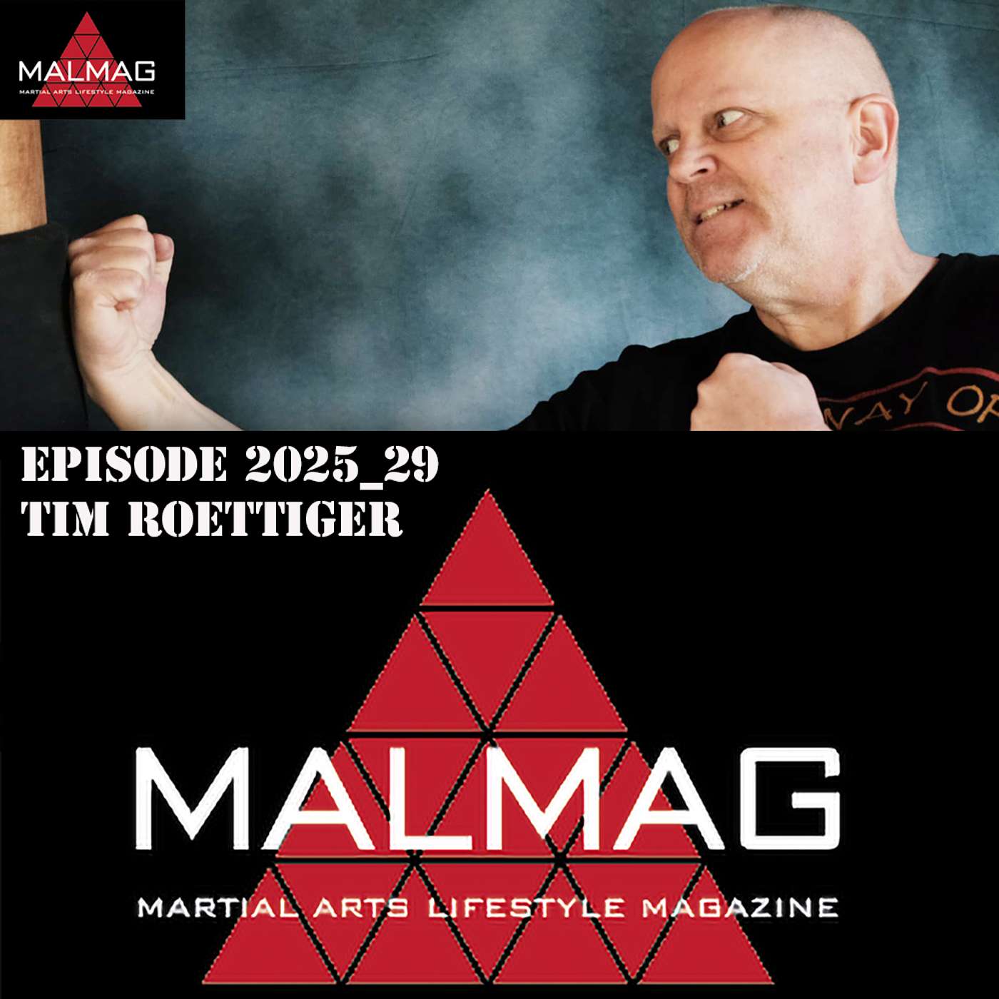 The Martial Arts Lifestyle Podcast