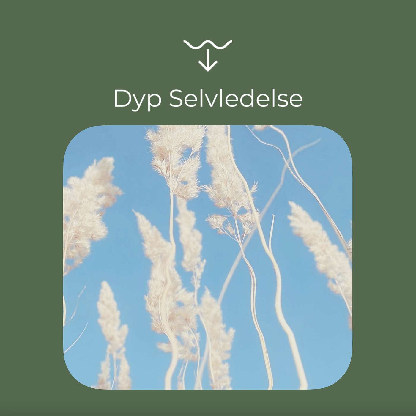 Dyp Selvledelse