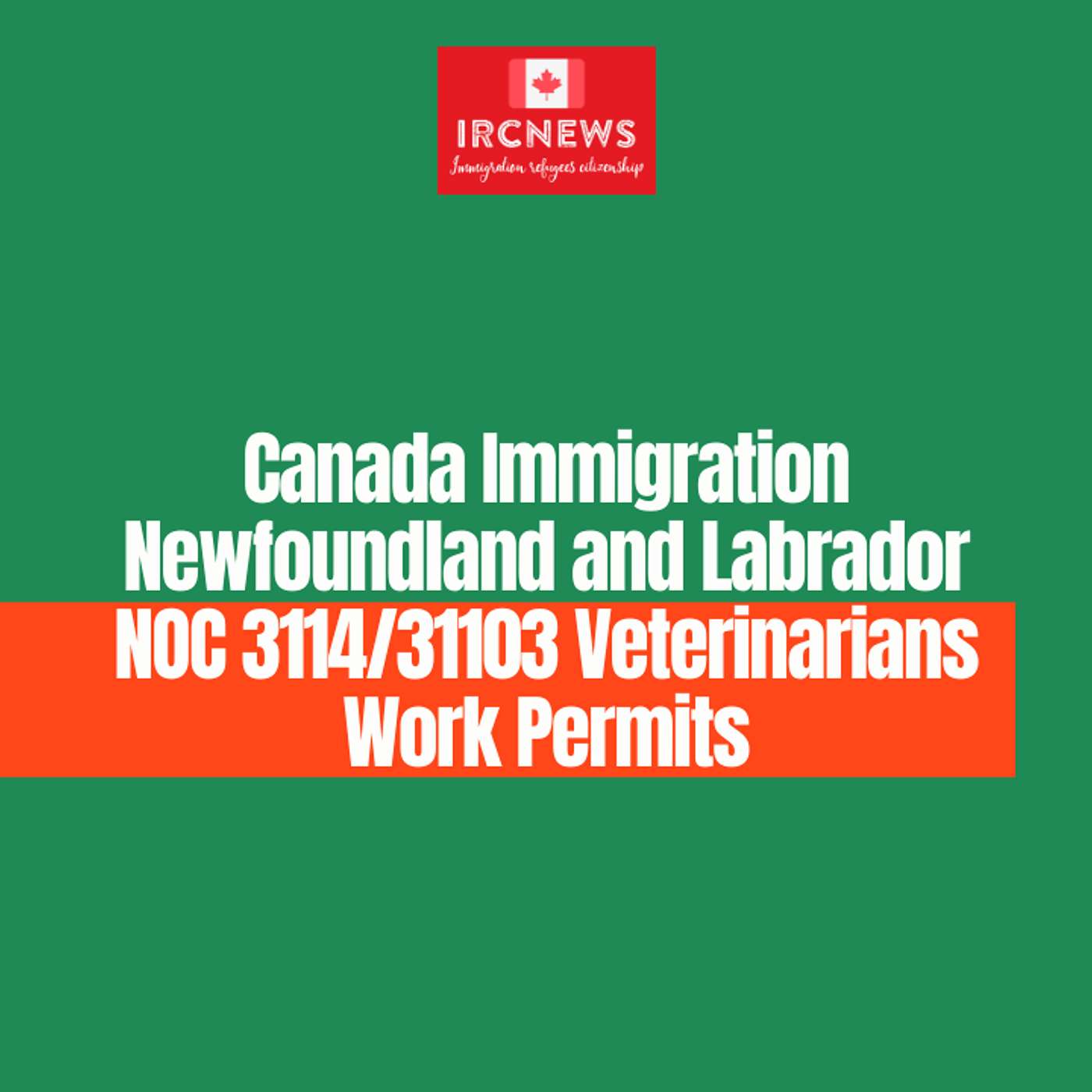 Canada Immigration Newfoundland and Labrador NOC 3114/31103 Veterinarians Work Permits episode artwork