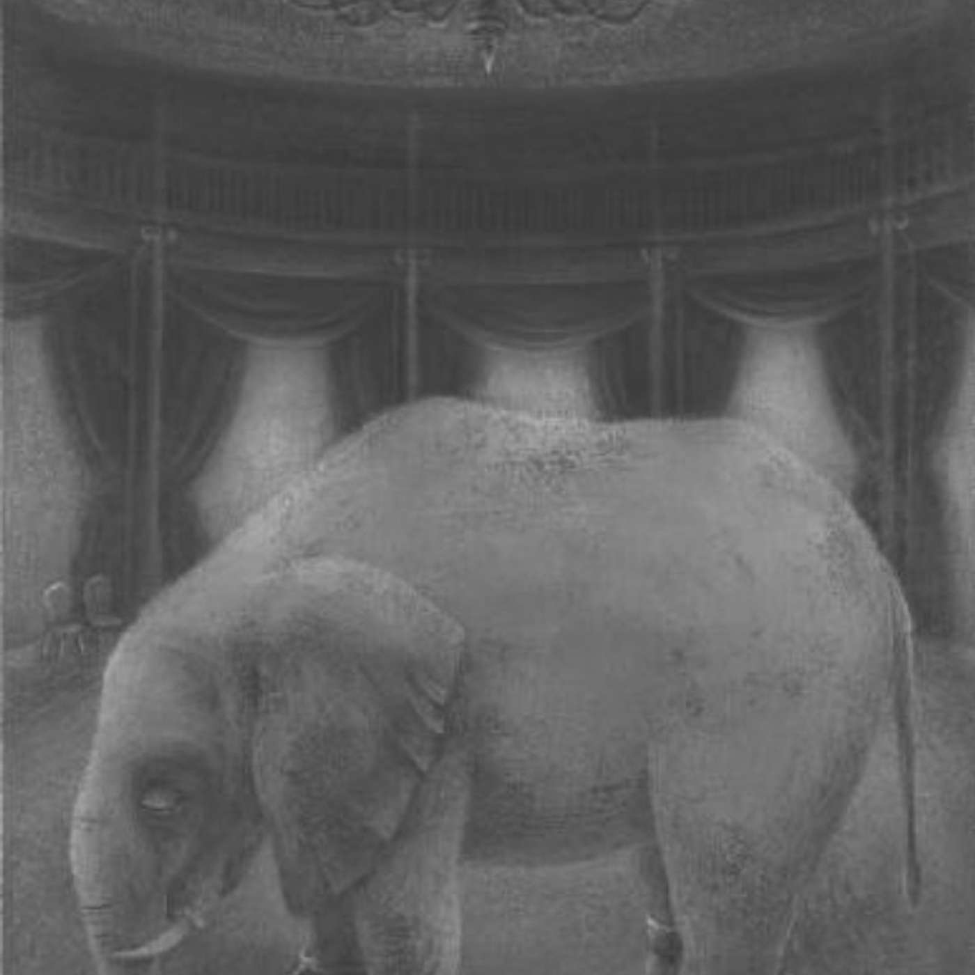 Chapter 5 "The Magician's Elephant" episode artwork