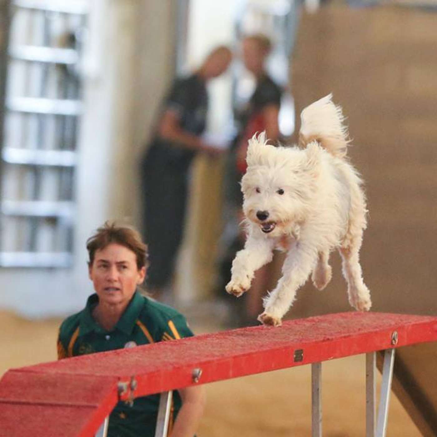 The Canine Ed Aus Podcast