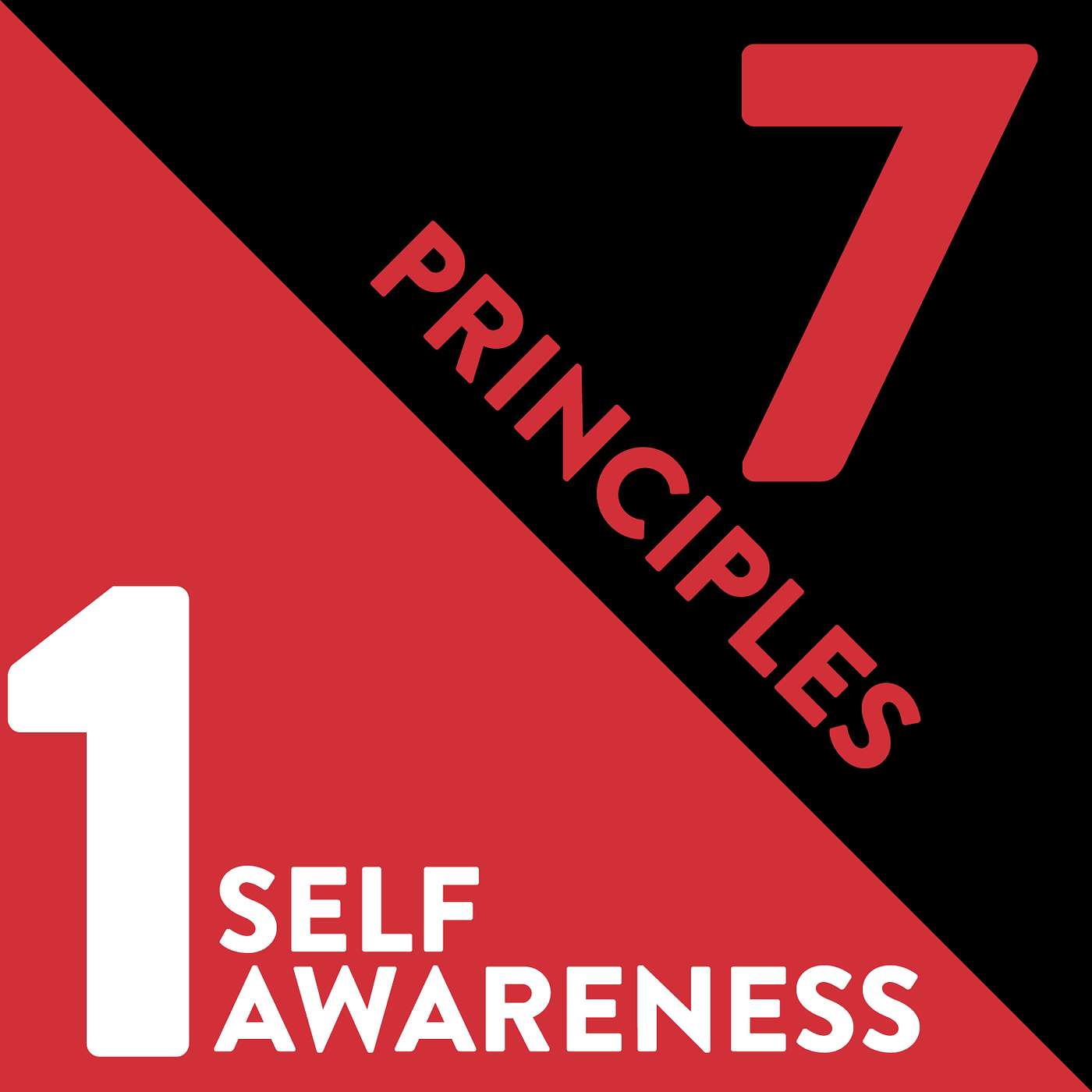 Self-Awareness: The First Principle of Relationship Management
