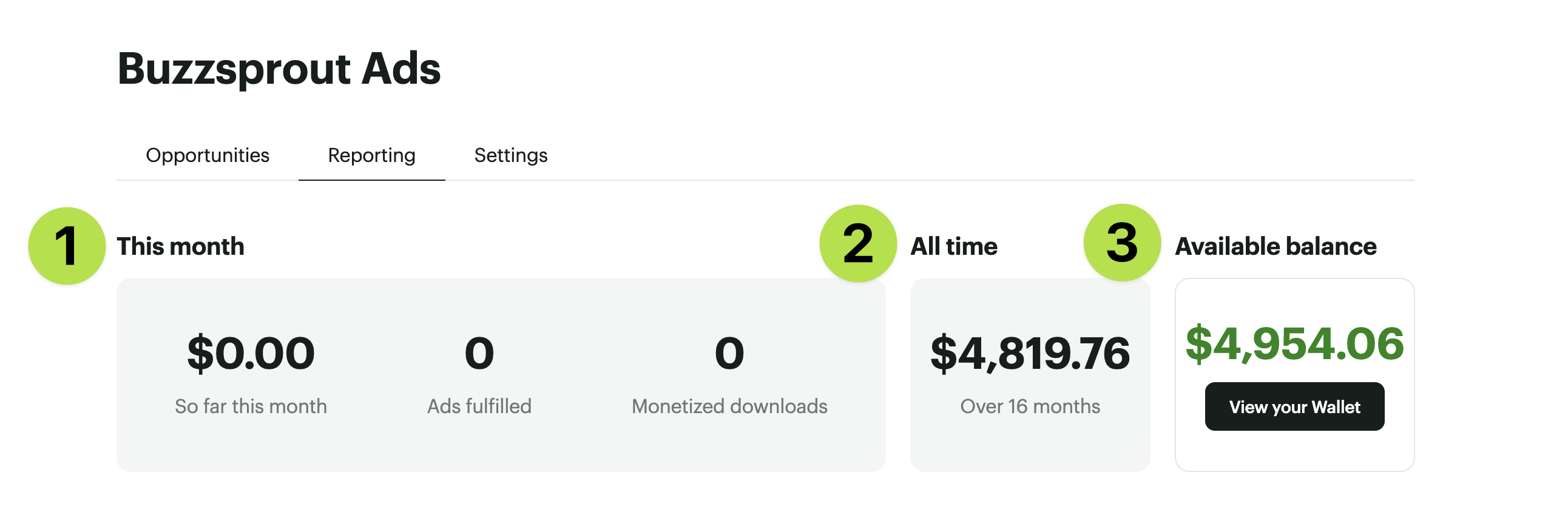 Buzzsprout Ads-Your Reporting Page1.png