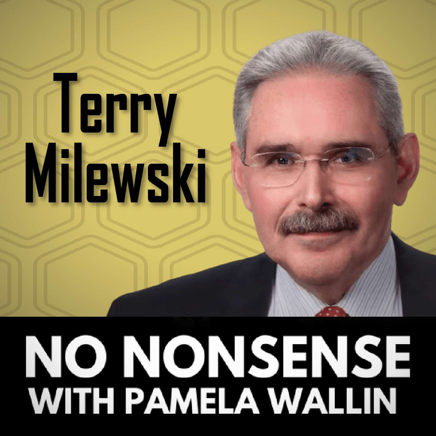 An Overview of Canada's Diplomatic Relations with India with Terry Milewski