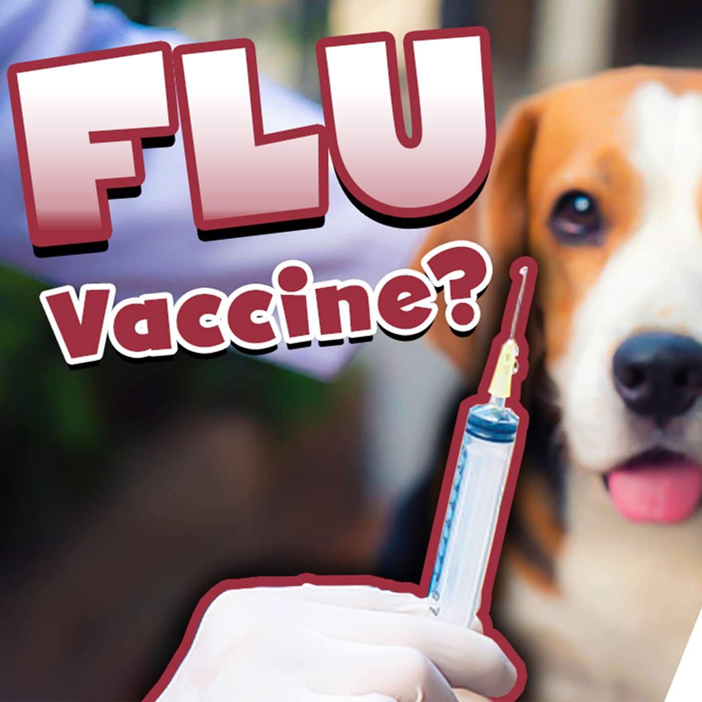 Is Requiring The Flu Vaccine Bad For Your Dog?