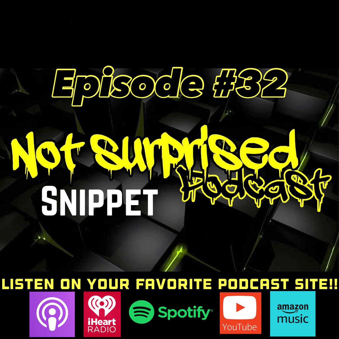 Not Surprised Podcast