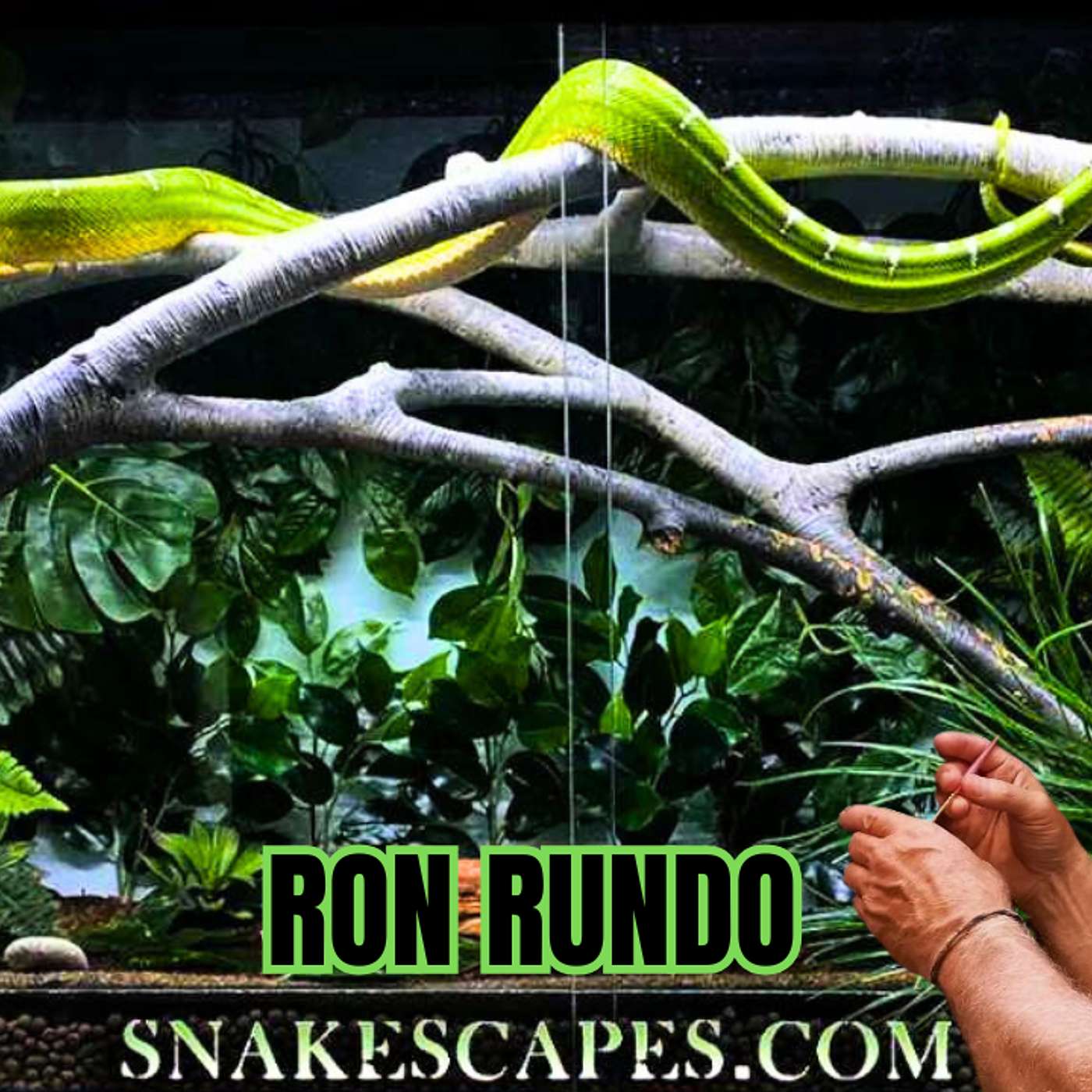 Designing The Nicest Perches In The Reptile Hobby w/ Ron Rundo of SnakeScapes | Trap Talk Live