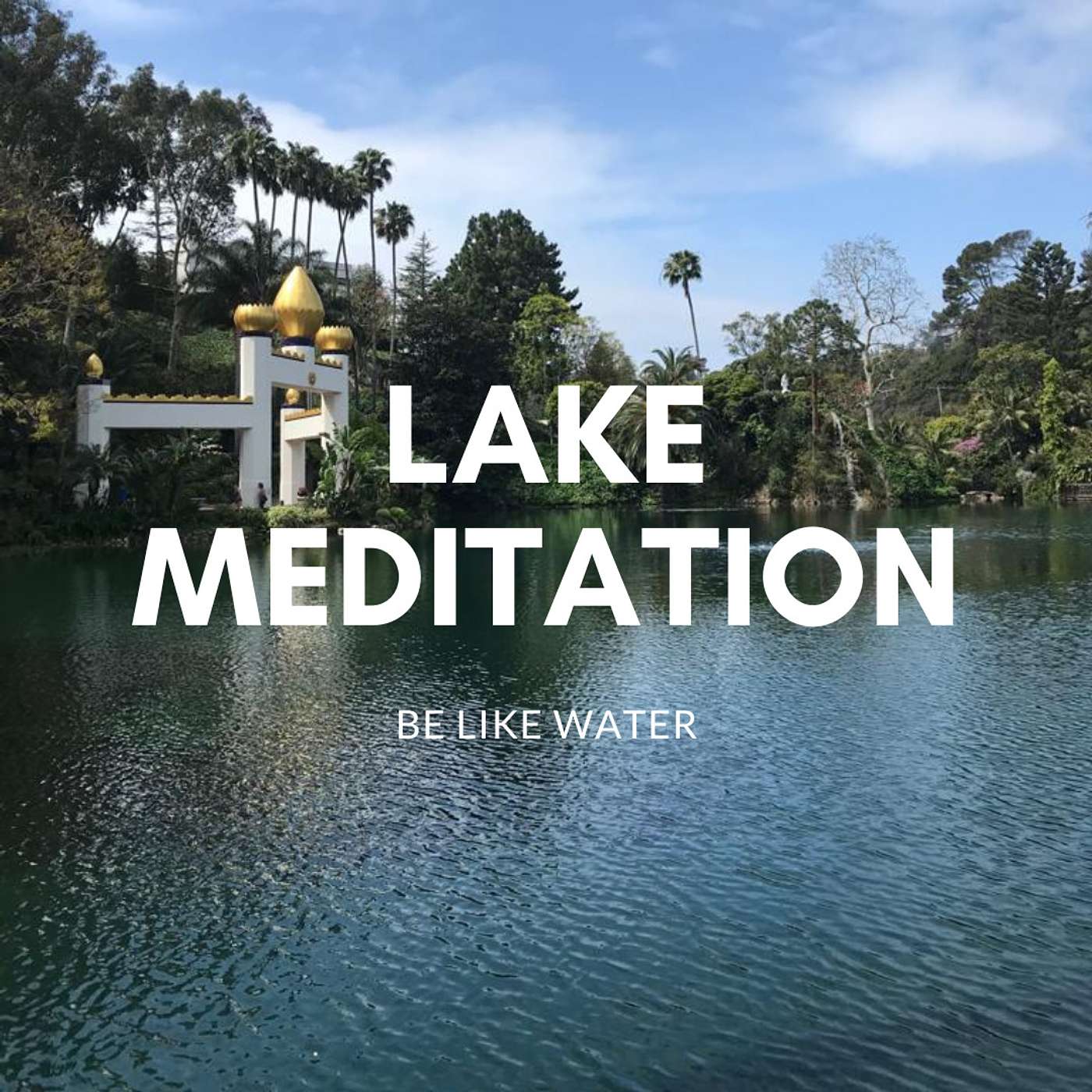 Meditations by Ofer Shani