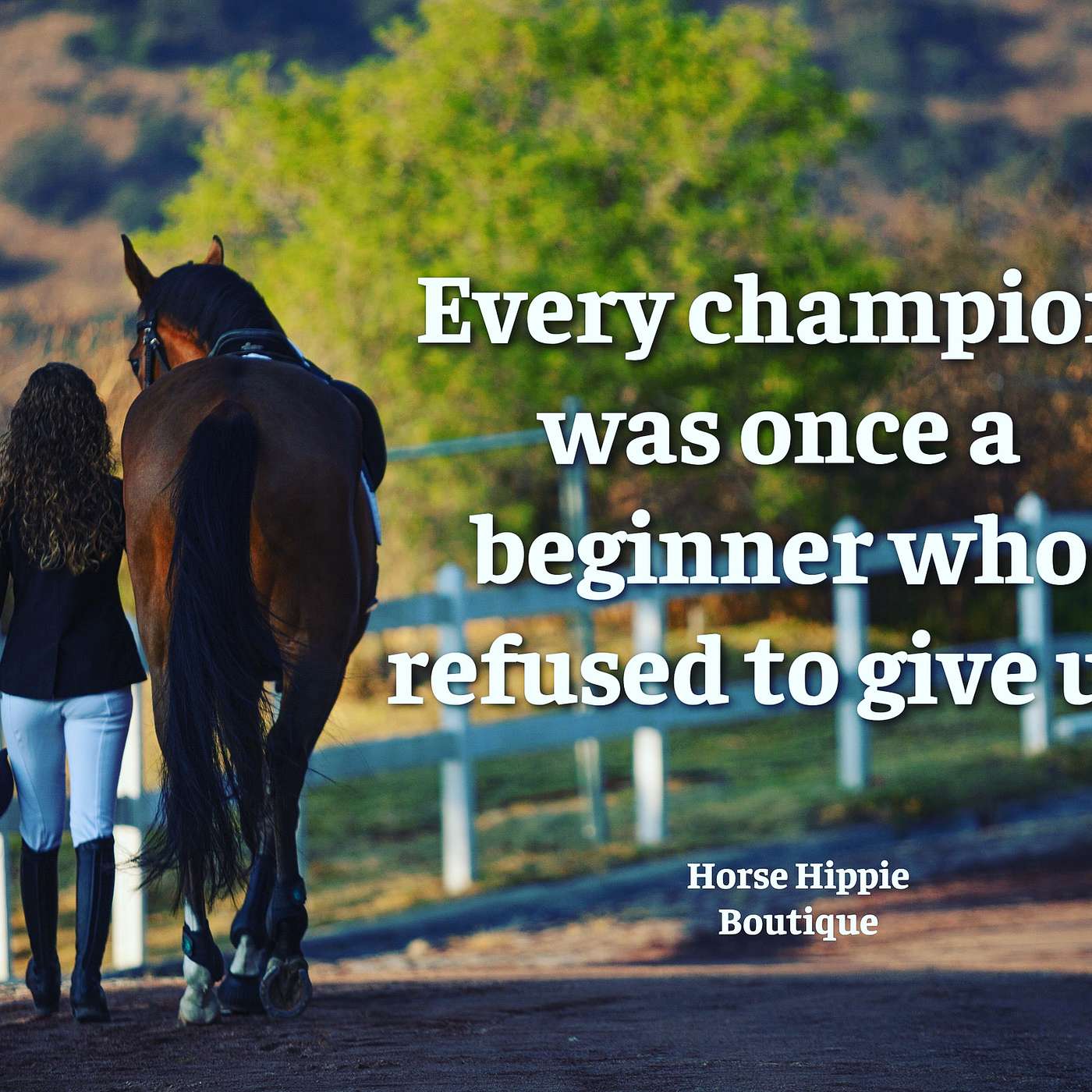 What Makes a Champion?