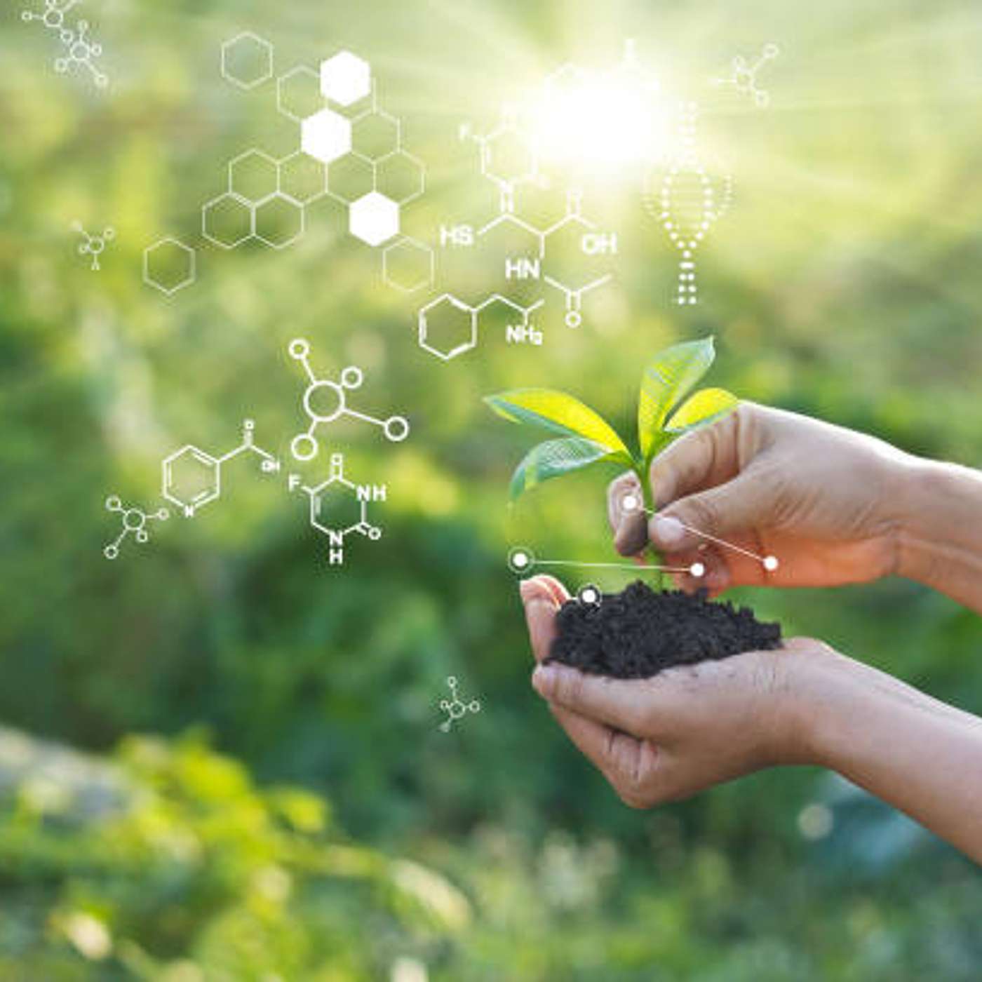 CRISPR Is A Game-Changer Tackling Climate Change, World Hunger