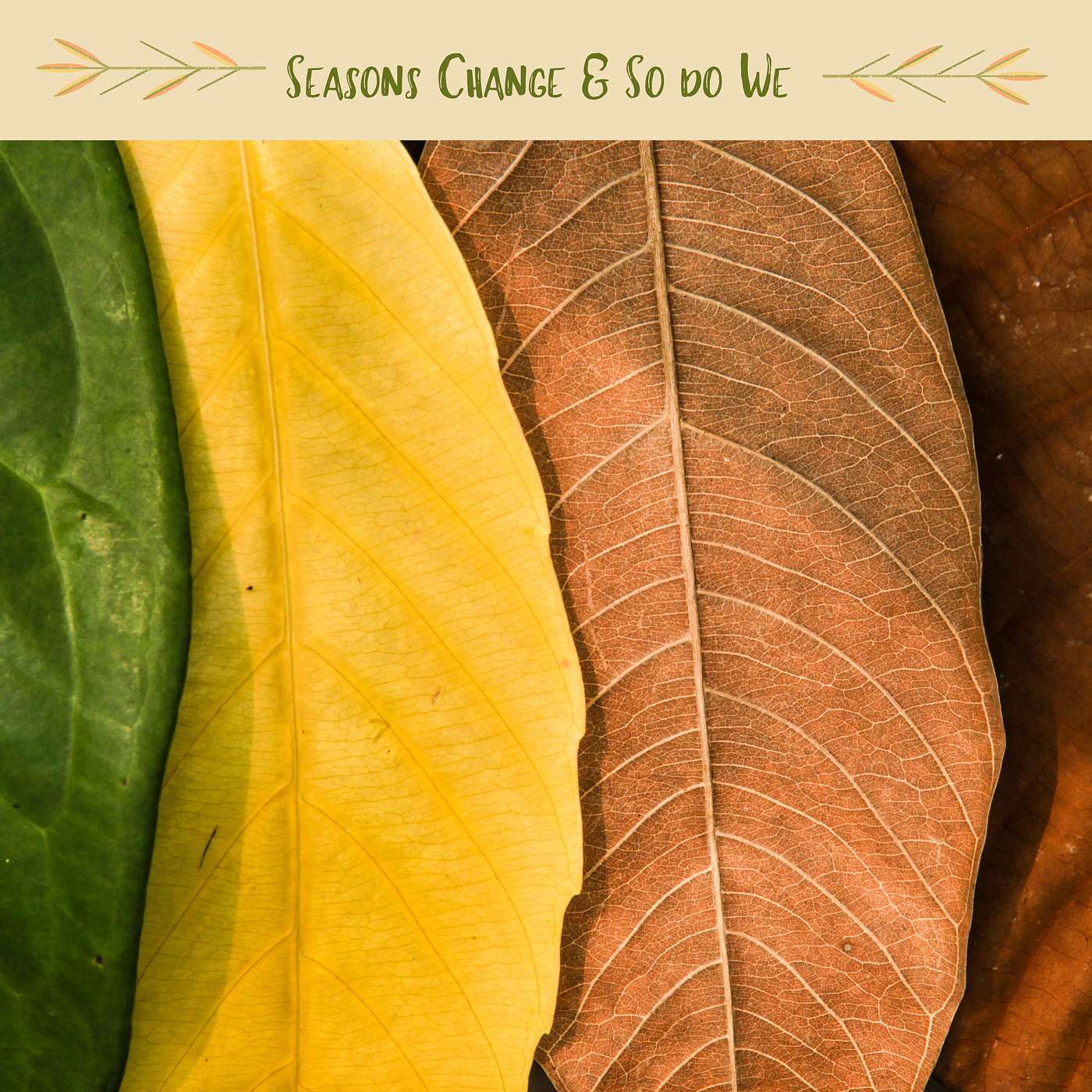 Episode 35 : Seasons Change & So Do We