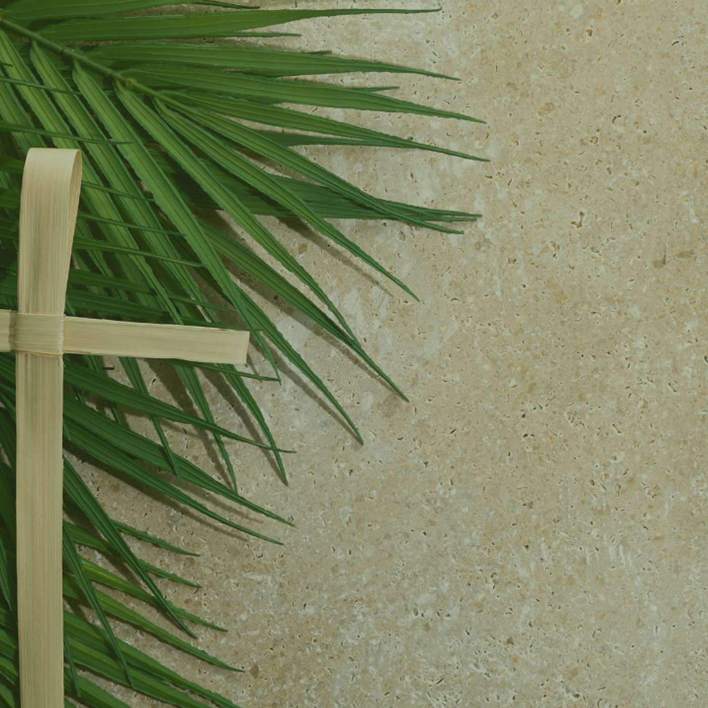 4.2.23 - Hosanna! Save Us! Salvation is Here! (Palm Sunday) episode artwork
