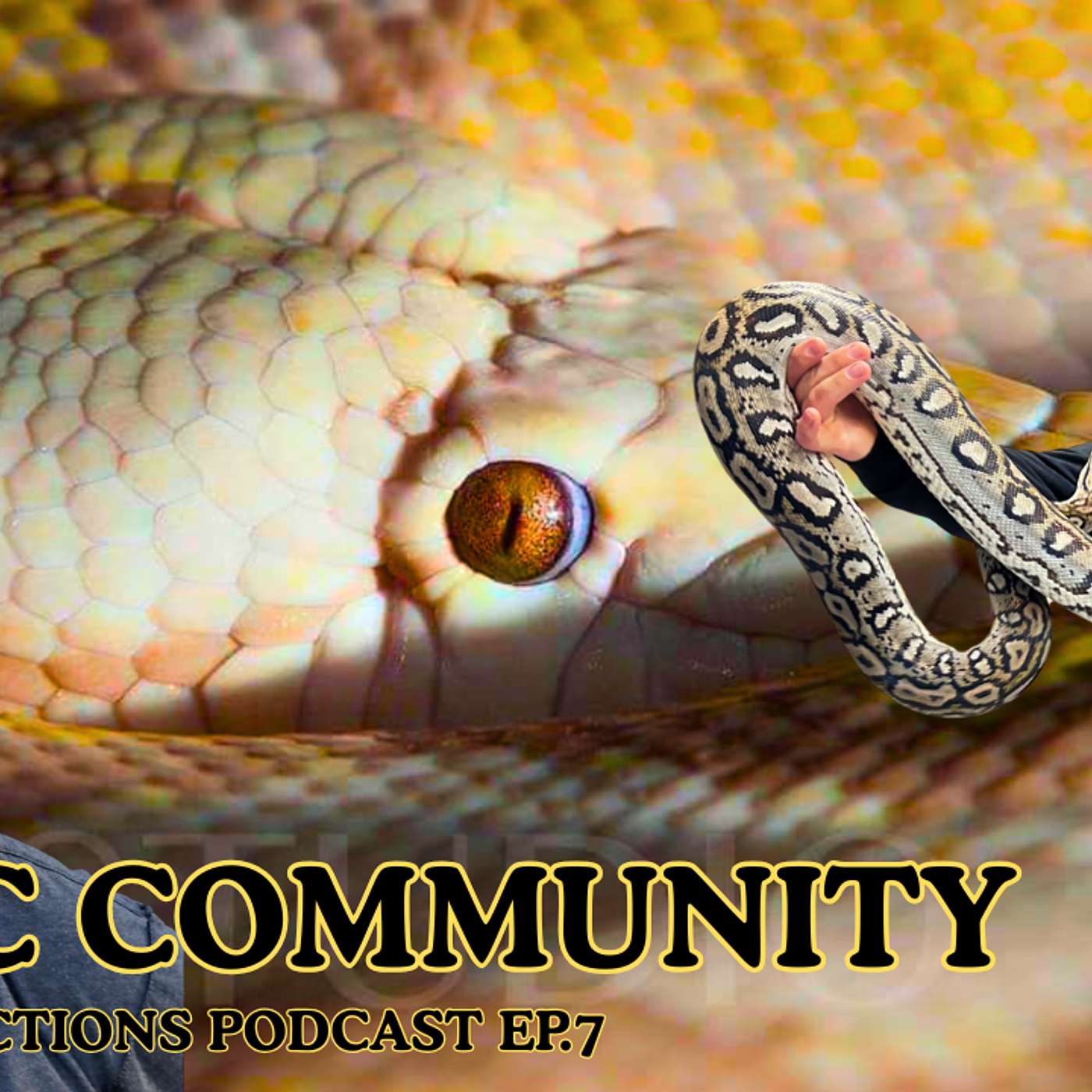 Episode 7: Is The Retic Community Headed In The Right Direction? | Retic Reflections Podcast (Live)