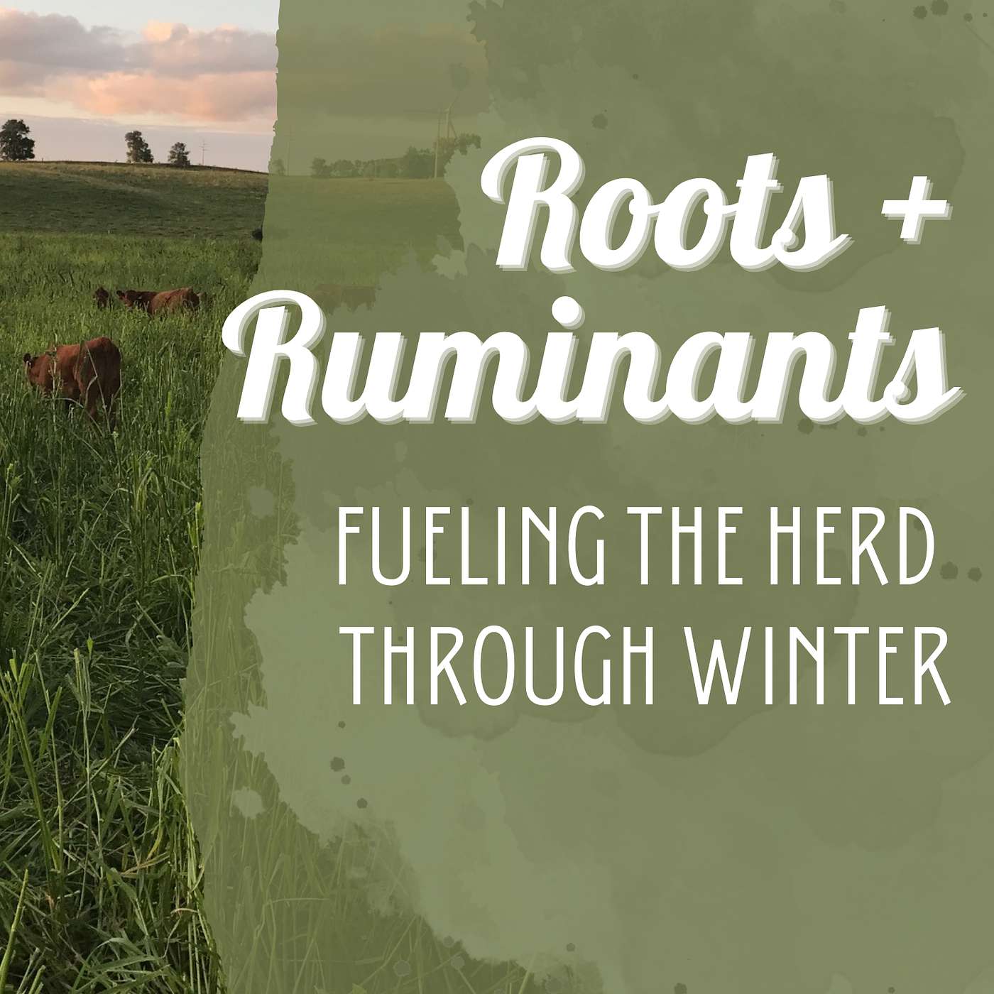 Roots + Ruminants