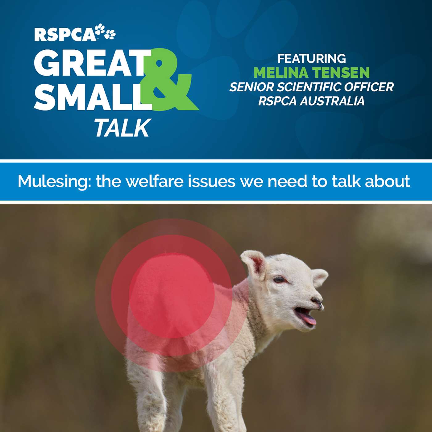 RSPCA Australia\'s Great & Small Talk