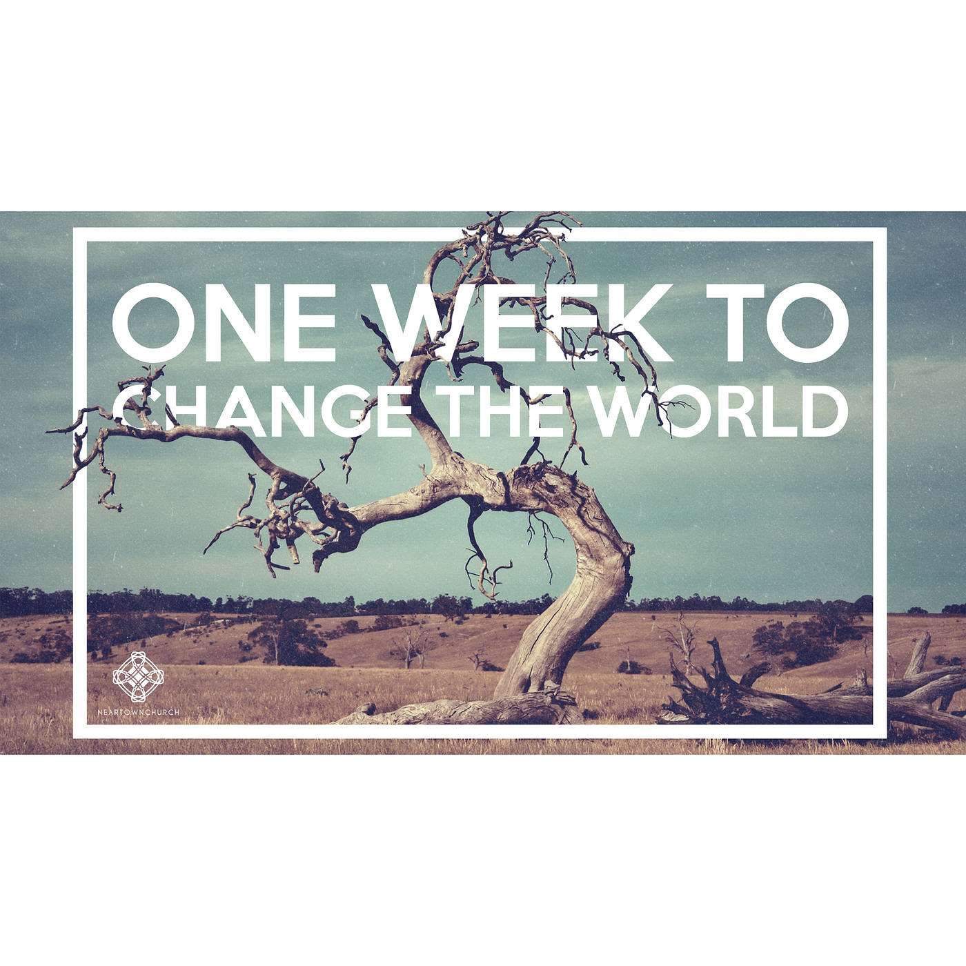 One Week to Change the World: Monday (Matt 21:12-19) episode artwork