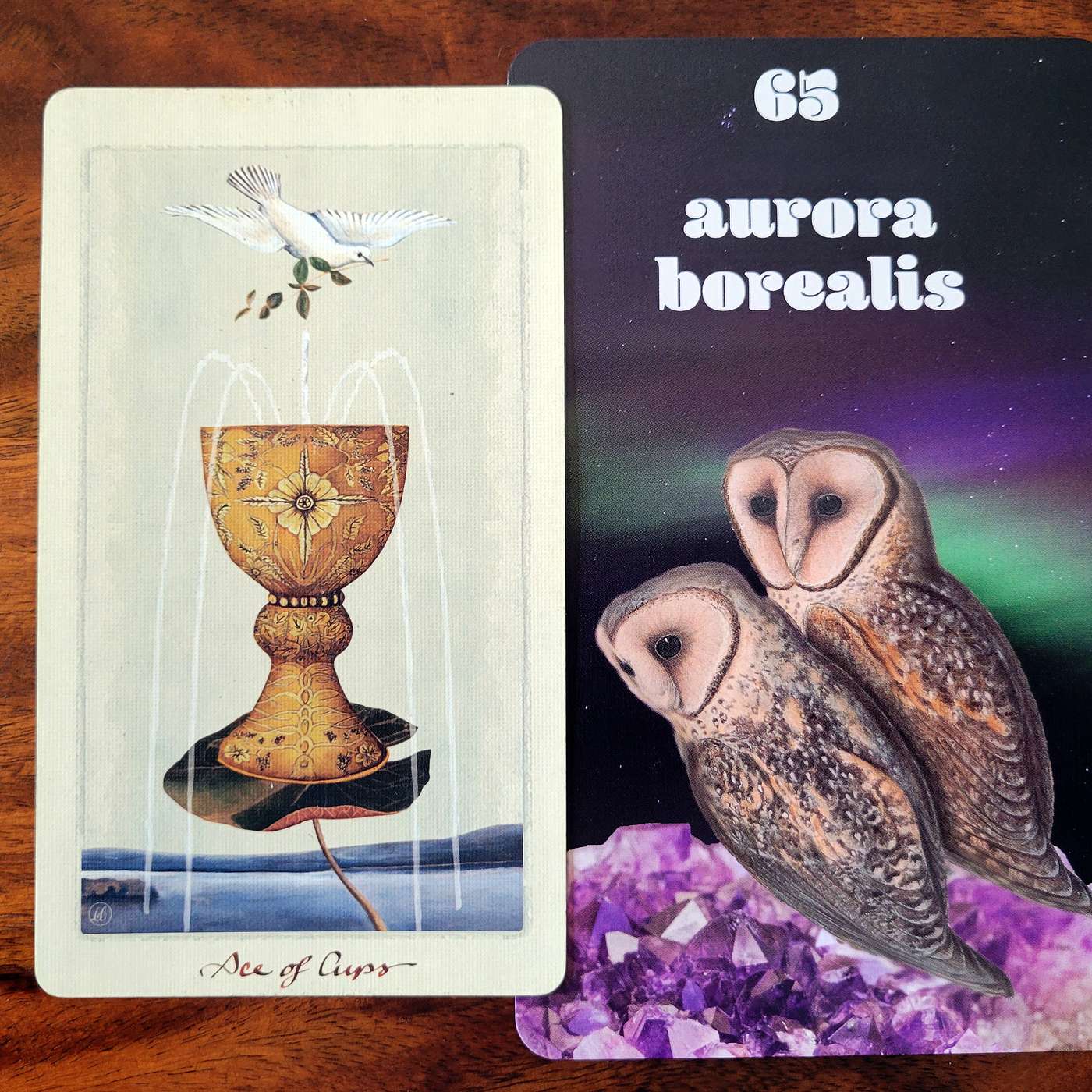 E54: November Reflections and December Predictions E54: November Reflections and December Predictions