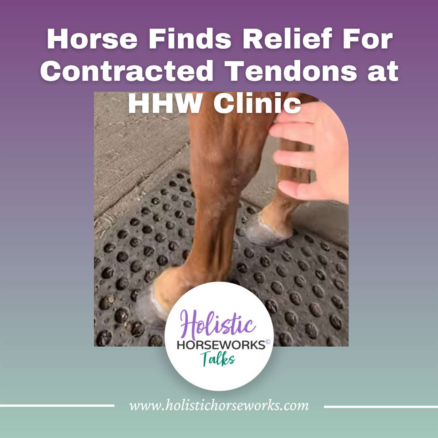 Holistic Horseworks Talks with April Love