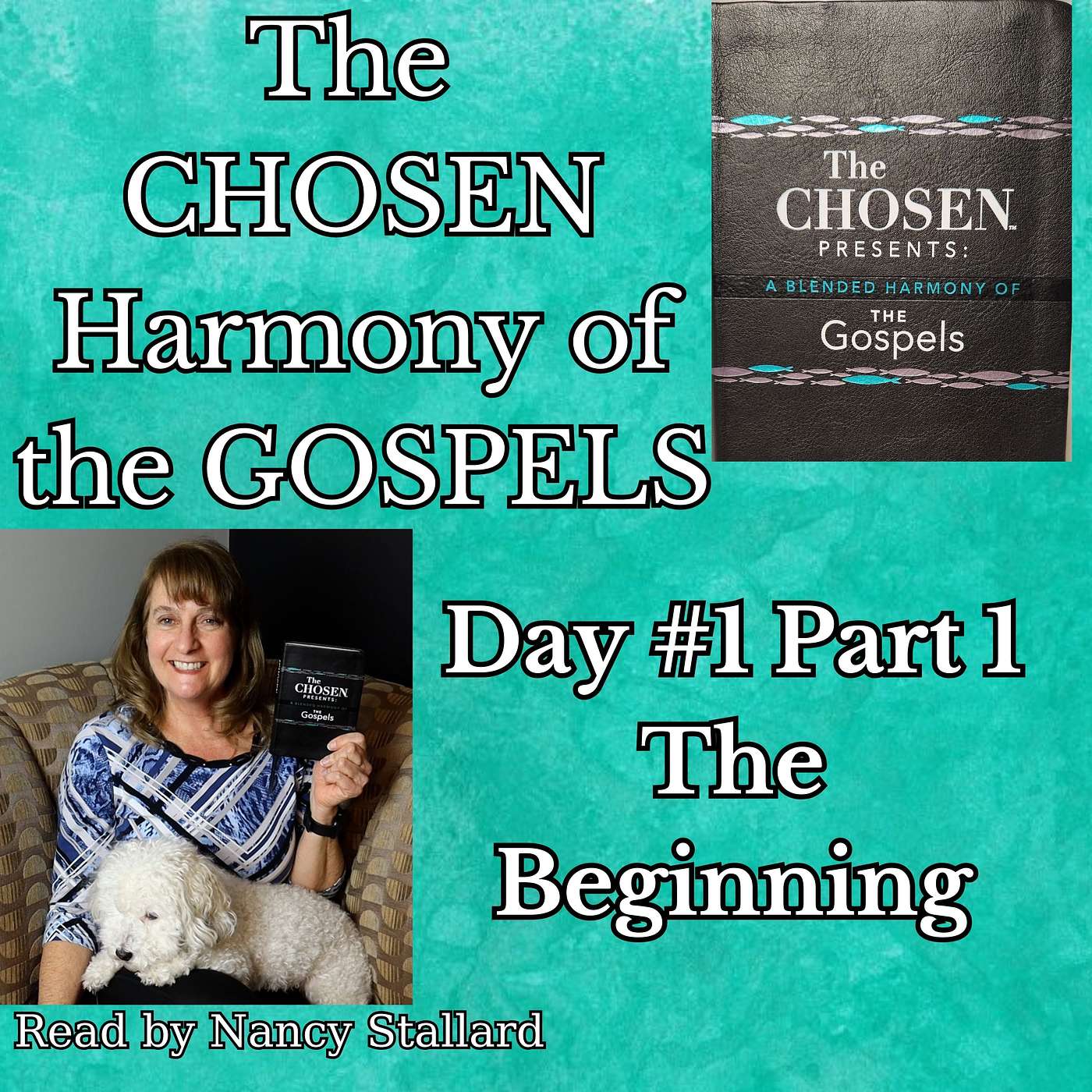 POLISH- The Chosen-A Blended Harmony of the Gospels- Day 1 Read by Nancy Stallard episode artwork
