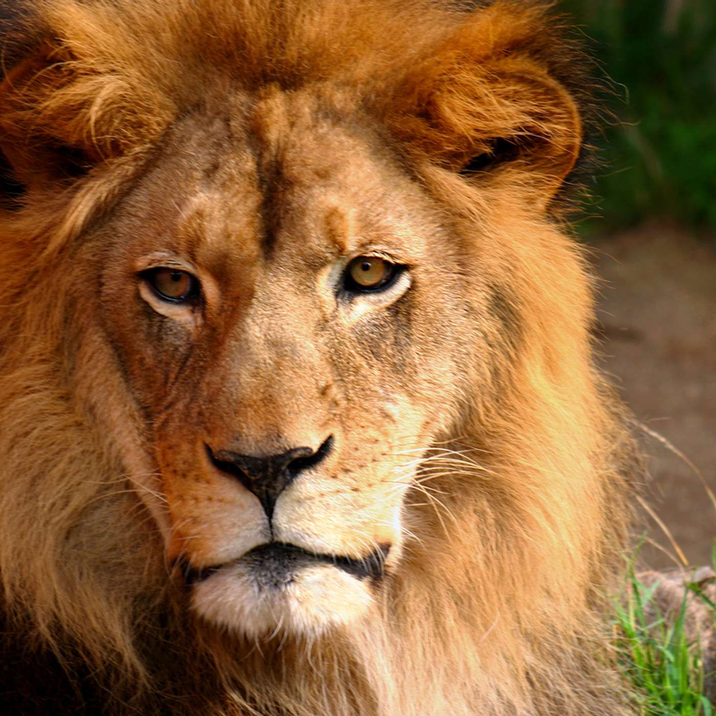 Is Our Government Filled with Thieves? The Covid Superspreader the Media Never Talks About, Biblical Teachings on Handling Fear