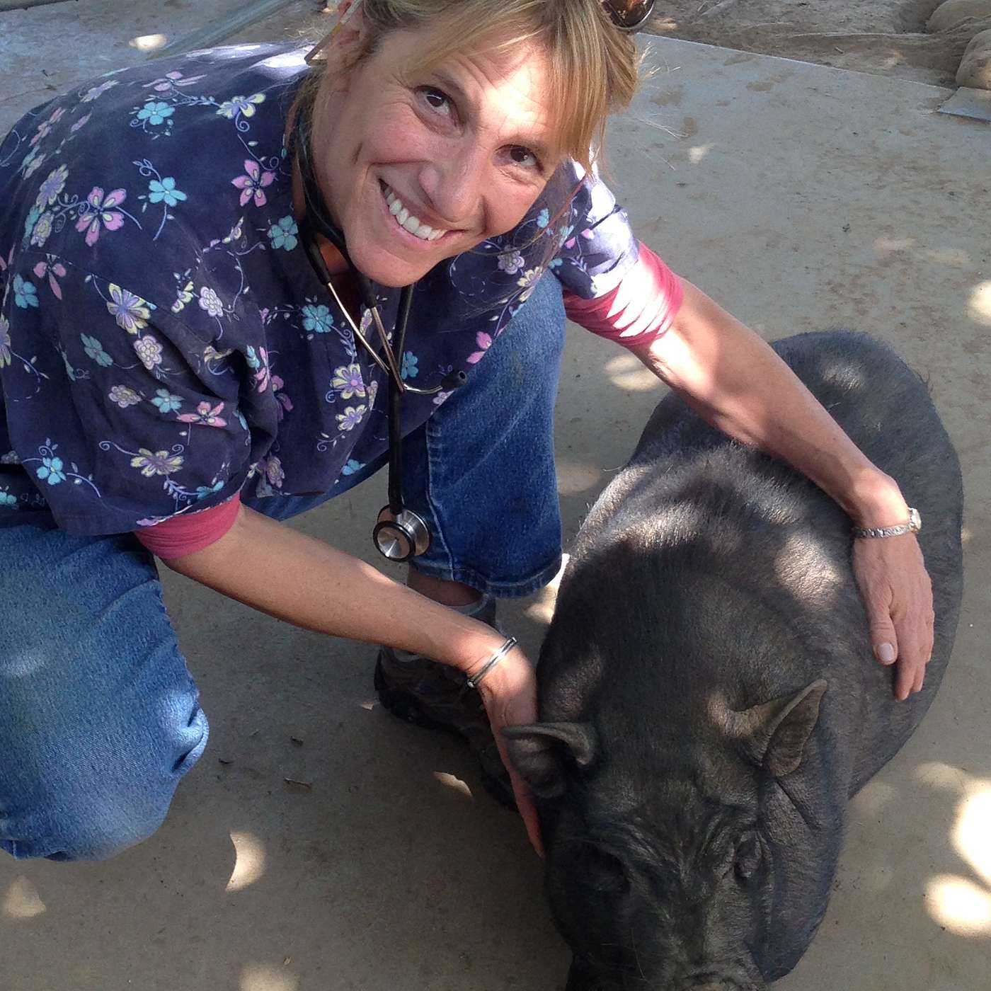 Wildlife Health Talks