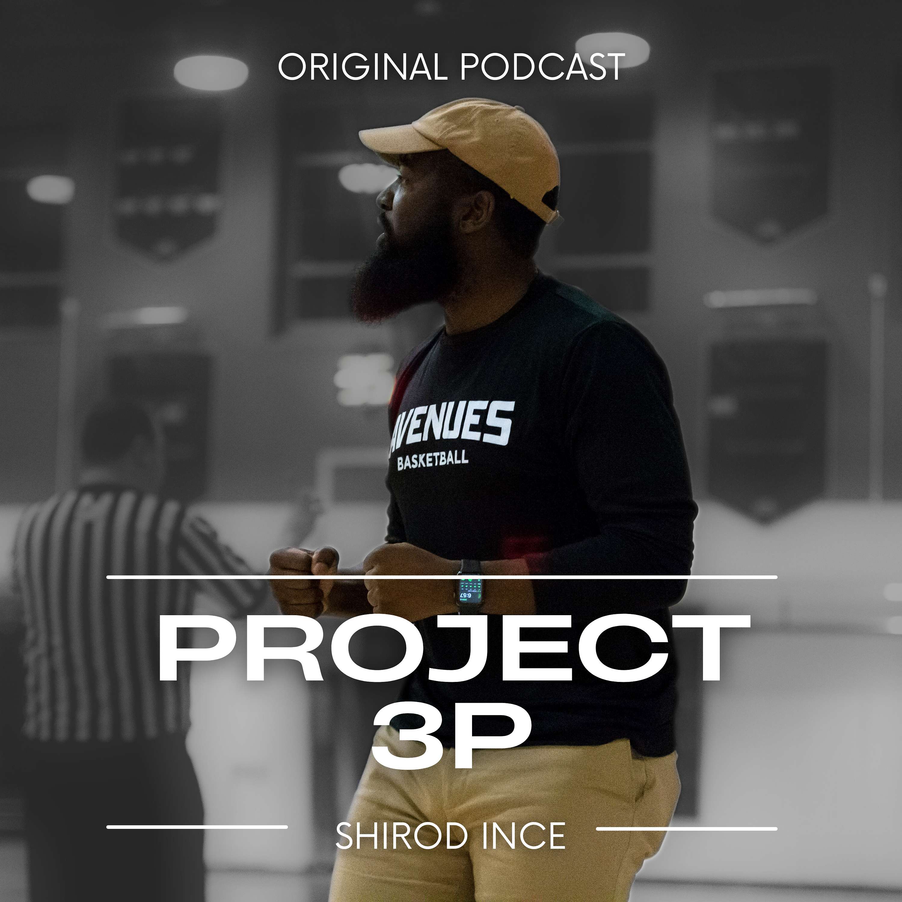 Project 3P