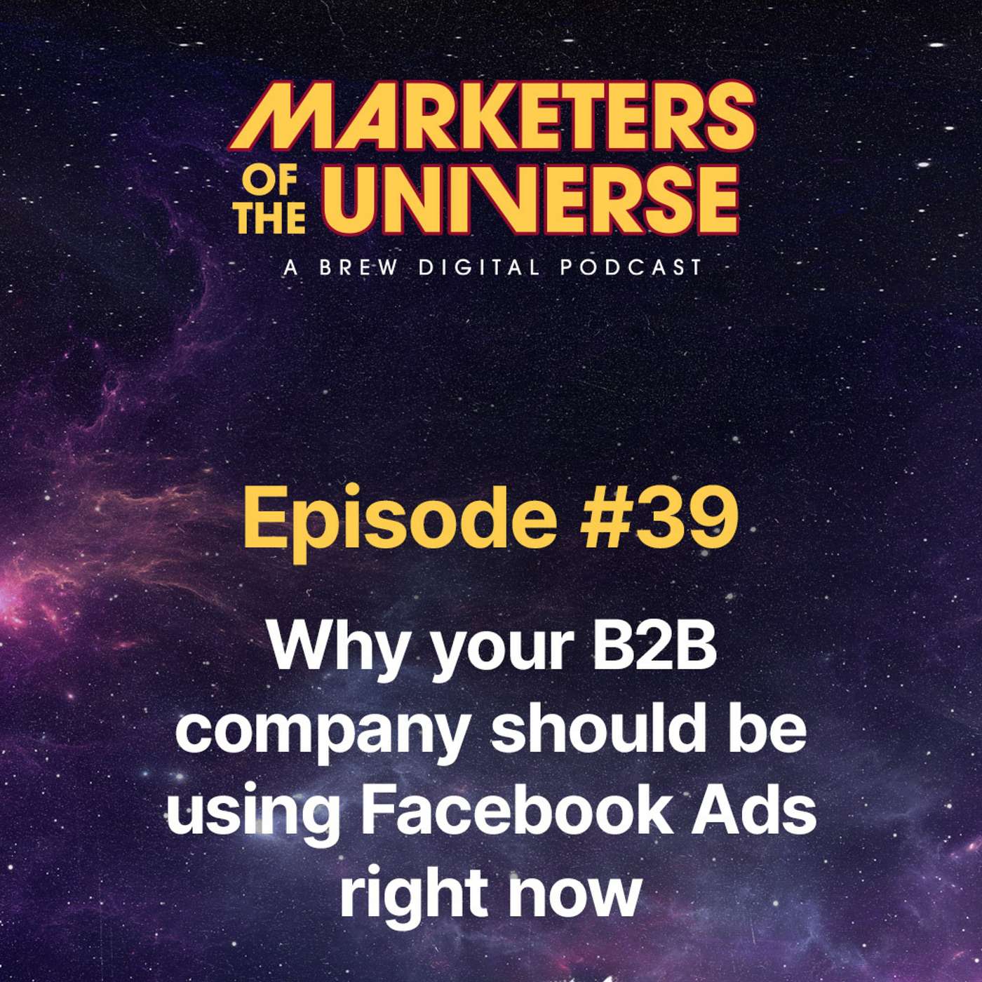 cover of episode Why your B2B company should be using Facebook Ads right now