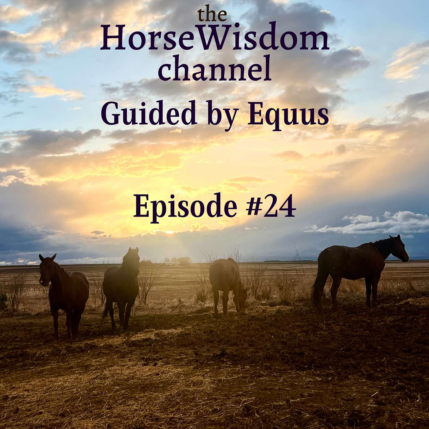the HorseWisdom Channel Guided by Equus