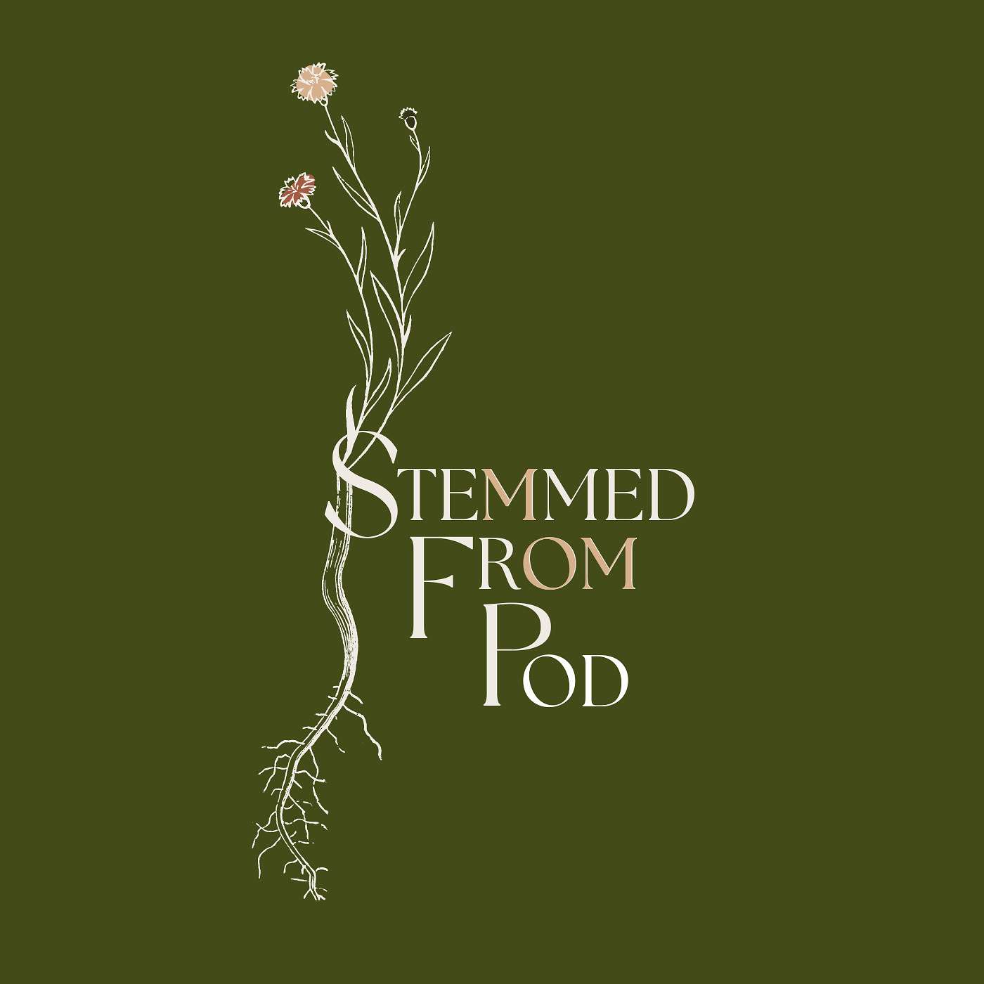 Stemmed From Podcast