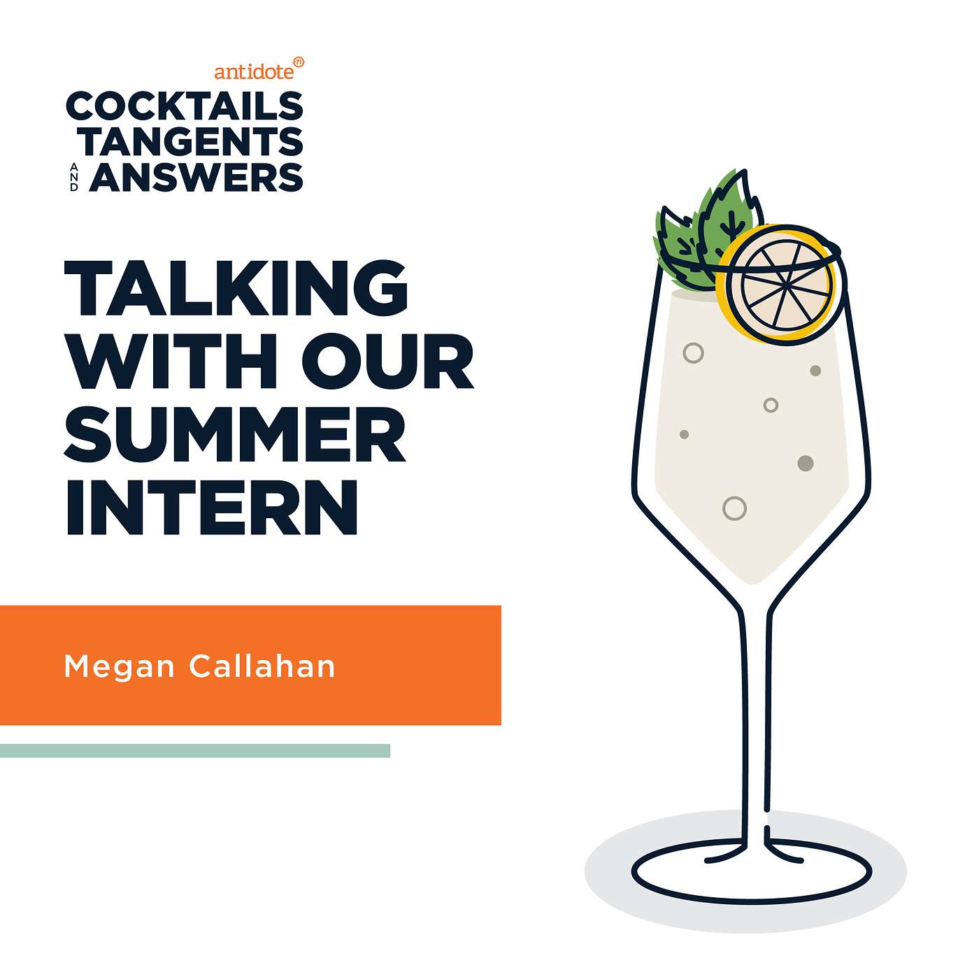 Meet Our Summer Intern Megan Callahan