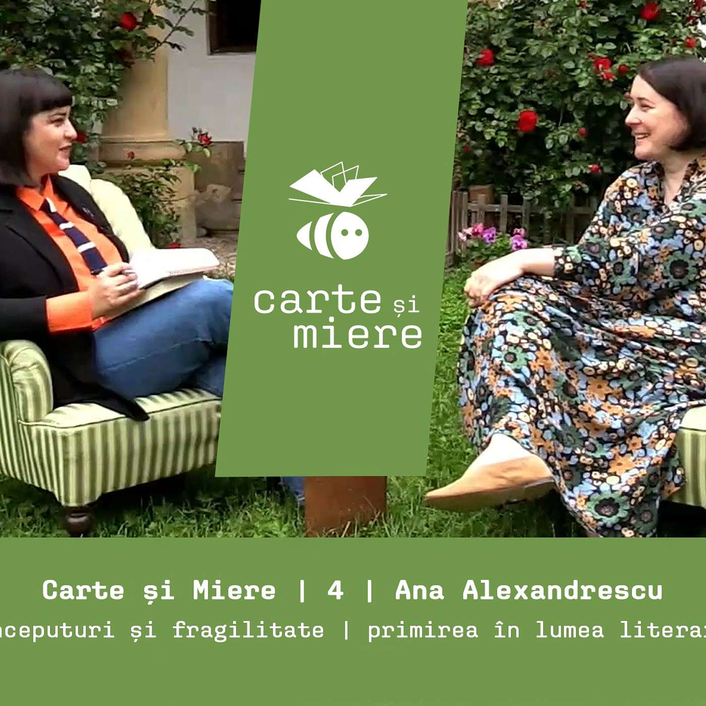 Carte și Miere | 4 | Ana Alexandrescu | Începuturi și fragilitate | primirea în lumea literară episode artwork