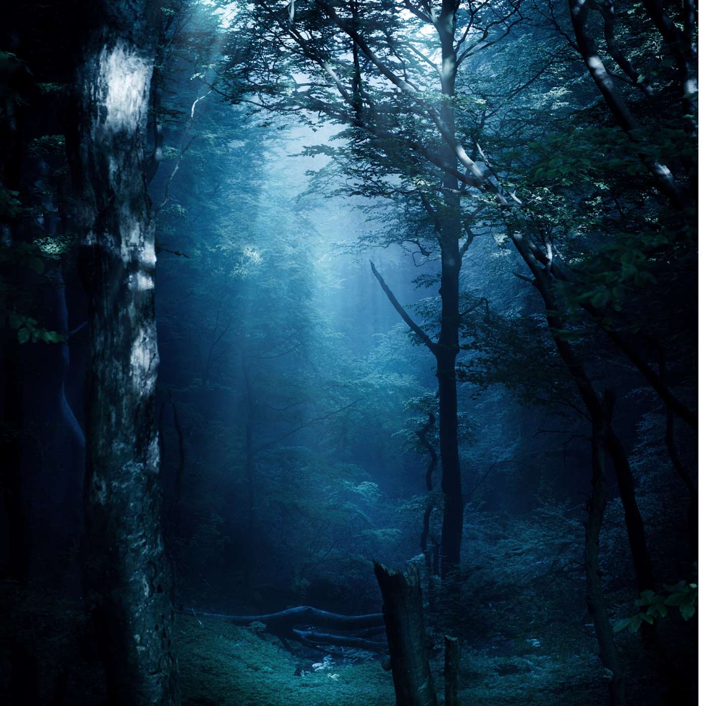 The Last Fern - Ch. 13: The Twilight Forest