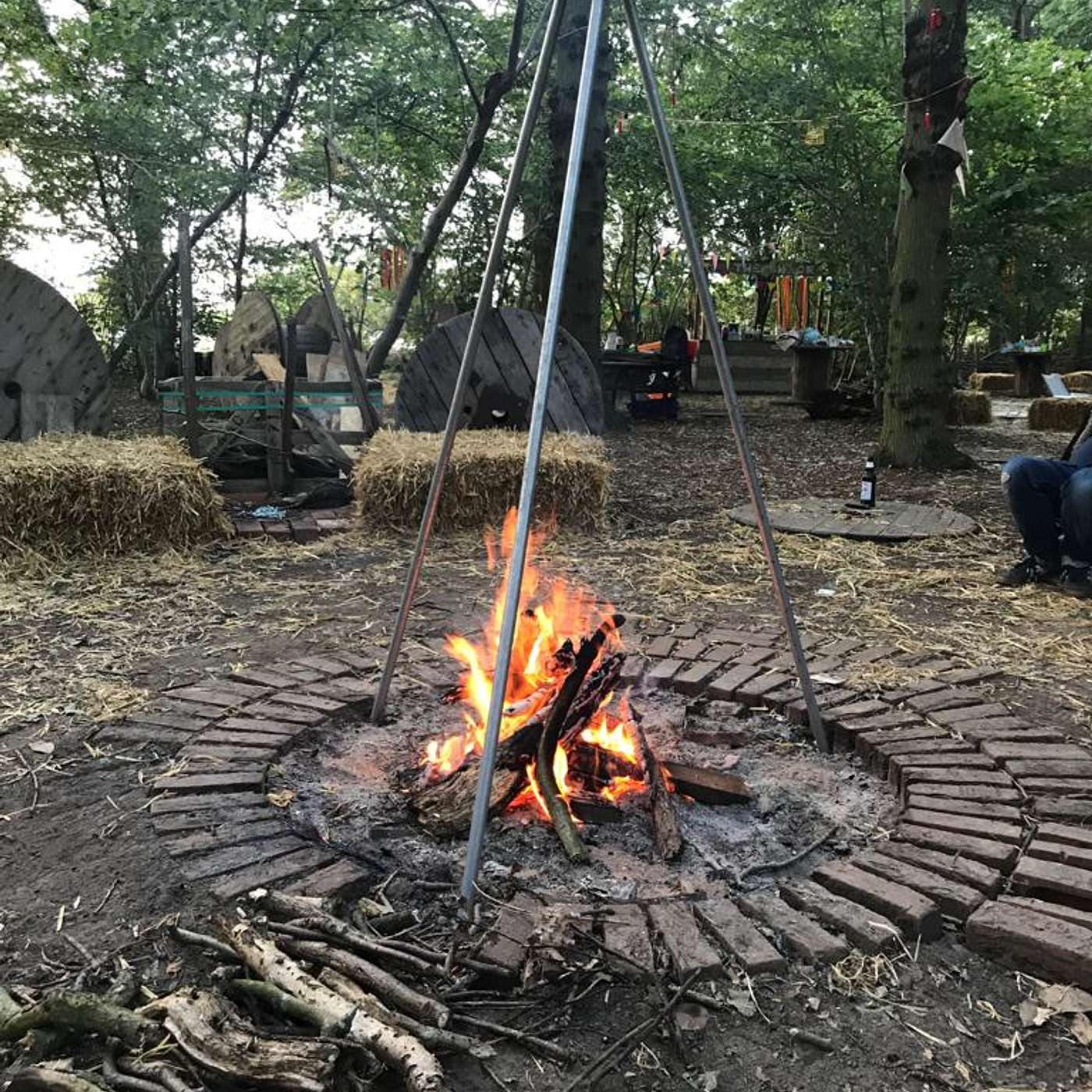 Magic in a Field & ReWilding the Witch
