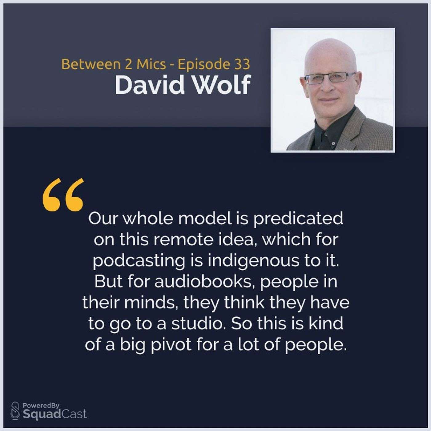 Remote Audiobook Production with David Wolf