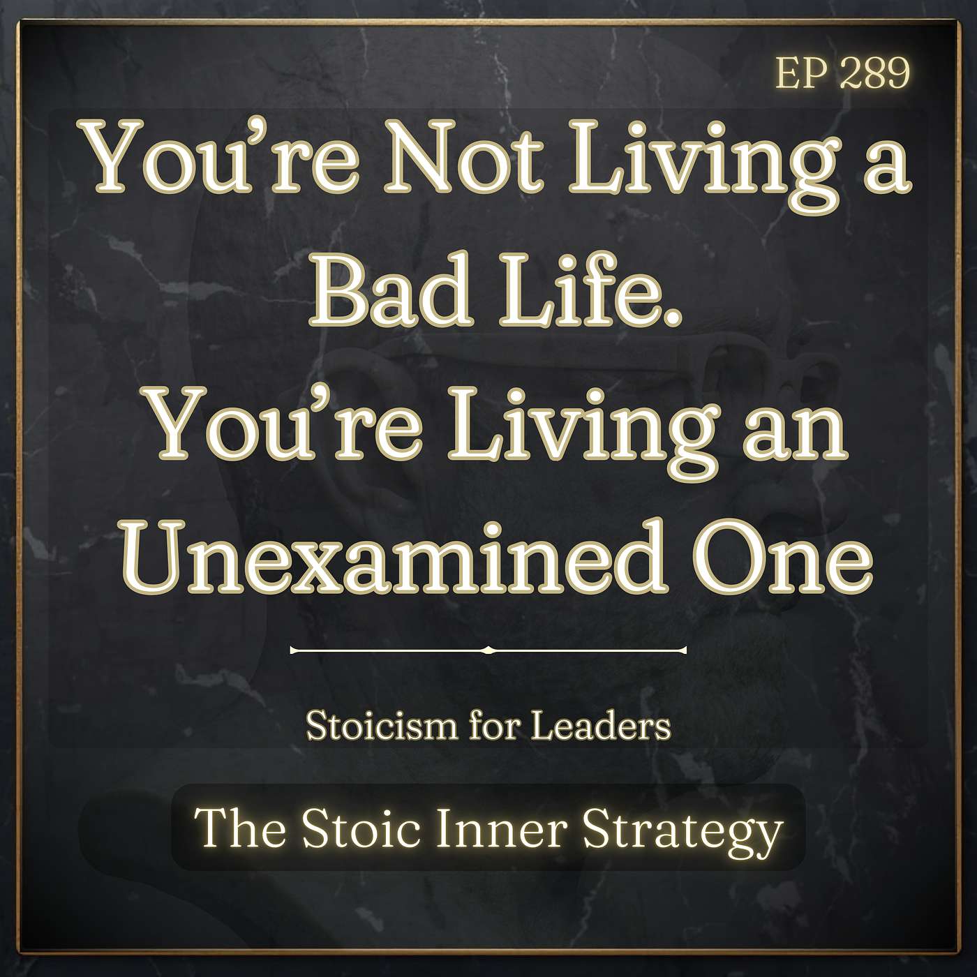 Ep 289 – The Unexamined Life in Leadership episode artwork