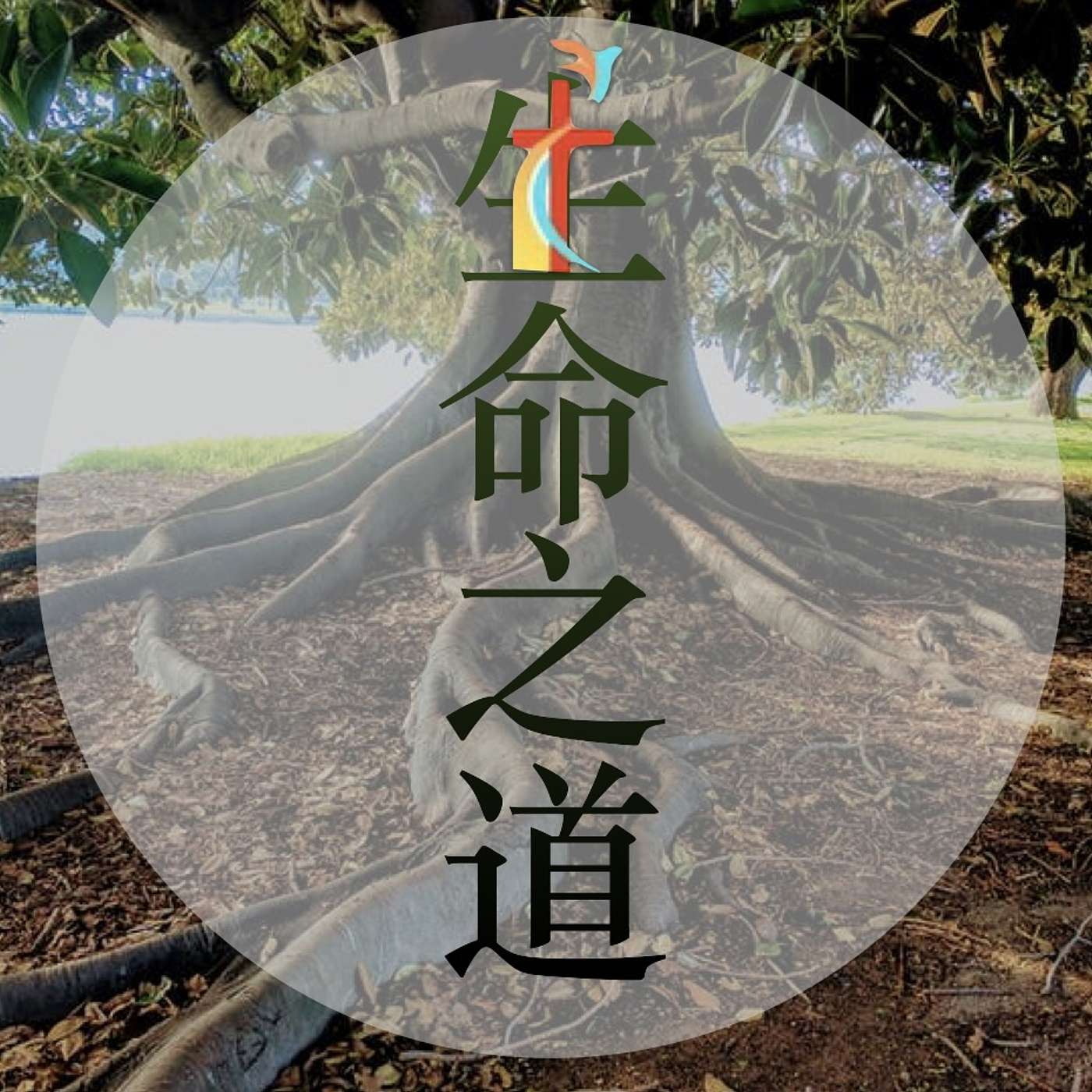 生命之道