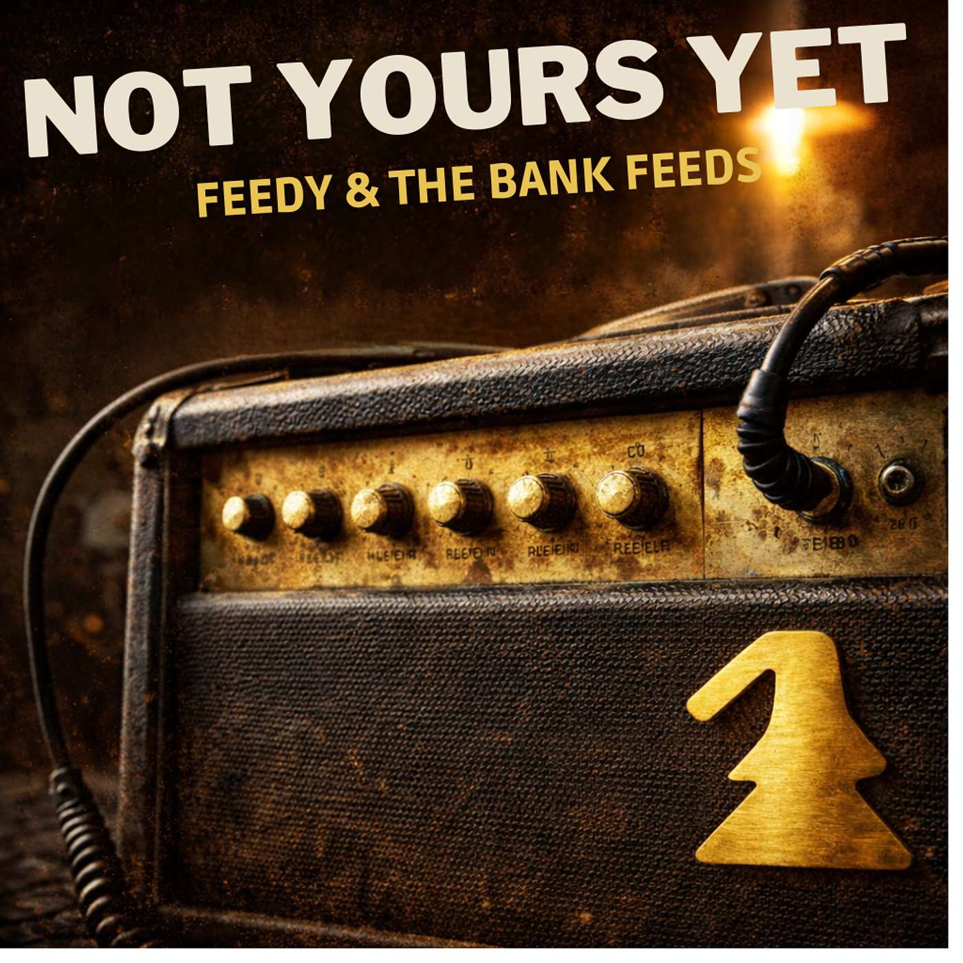 Feedy & the Bank Feeds - Not Yours Yet episode artwork