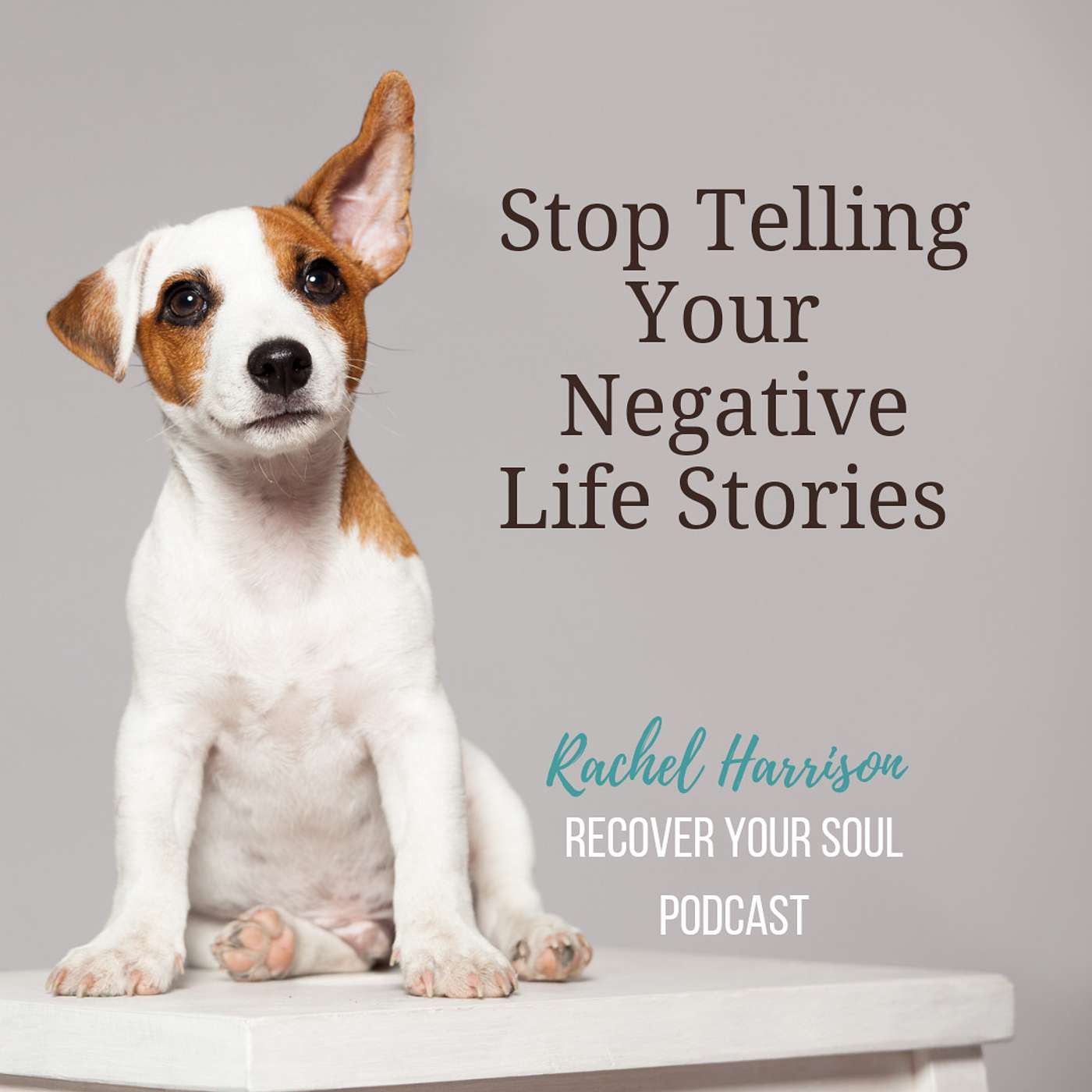 Stop Telling Your Negative Life Stories and Live a Happier Life episode artwork