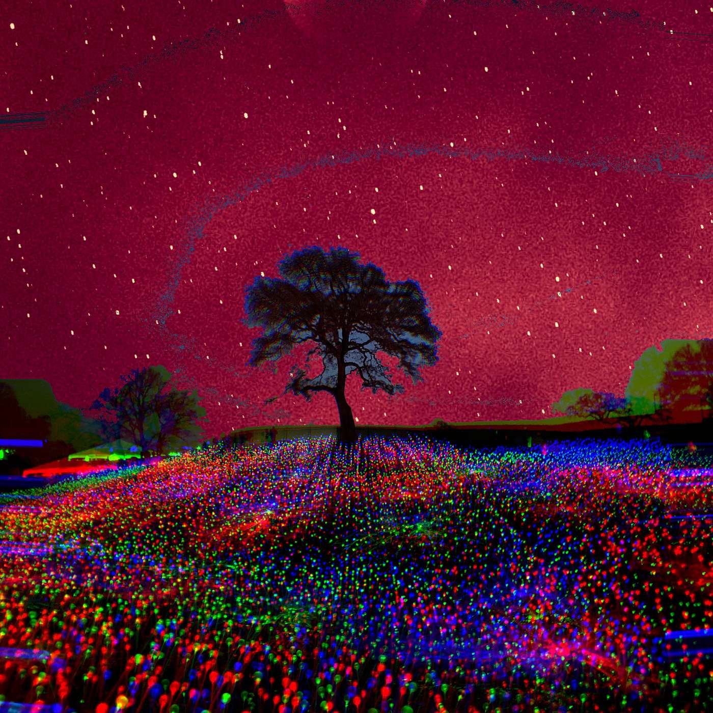 Summerland: The Ember tree 10