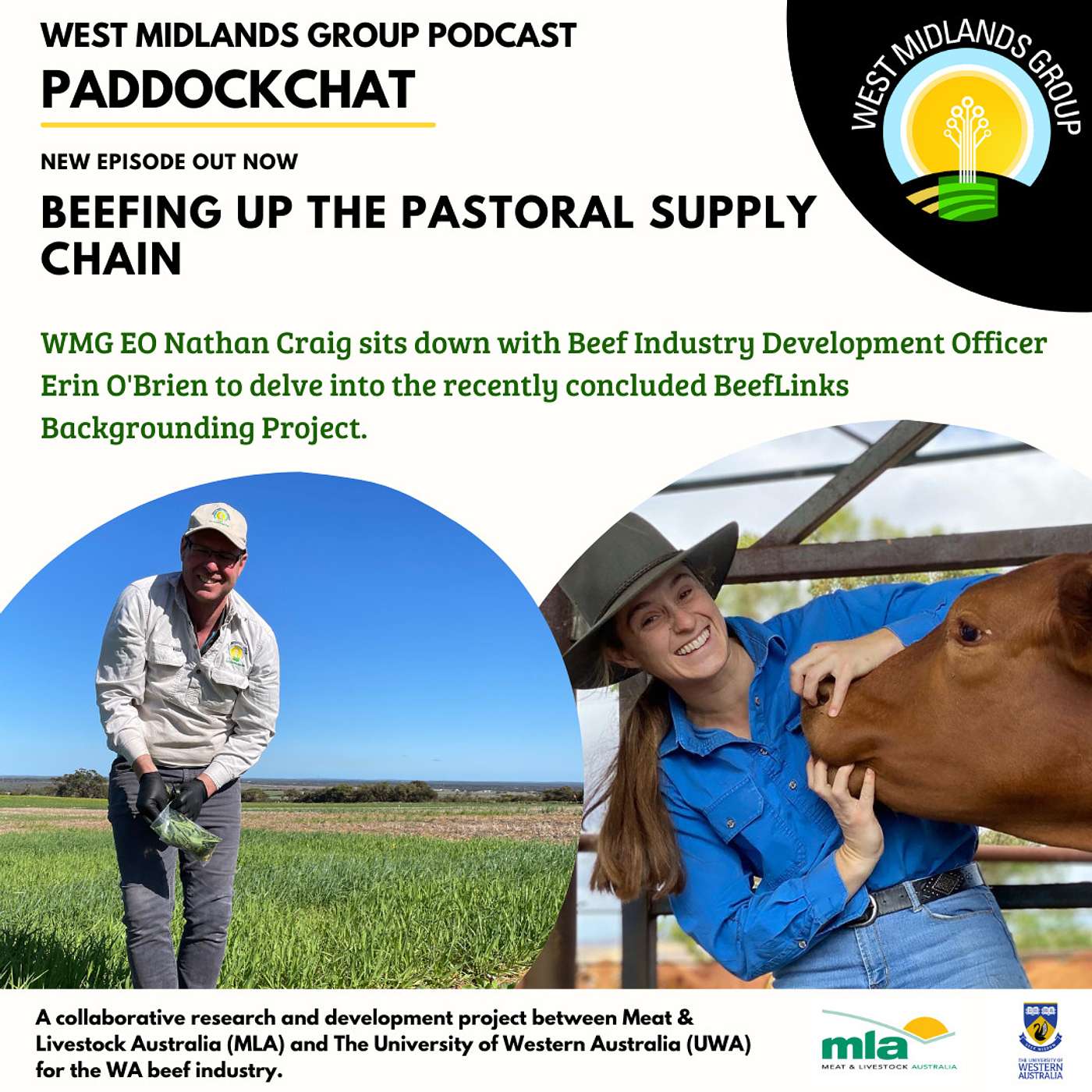 Paddock Chat